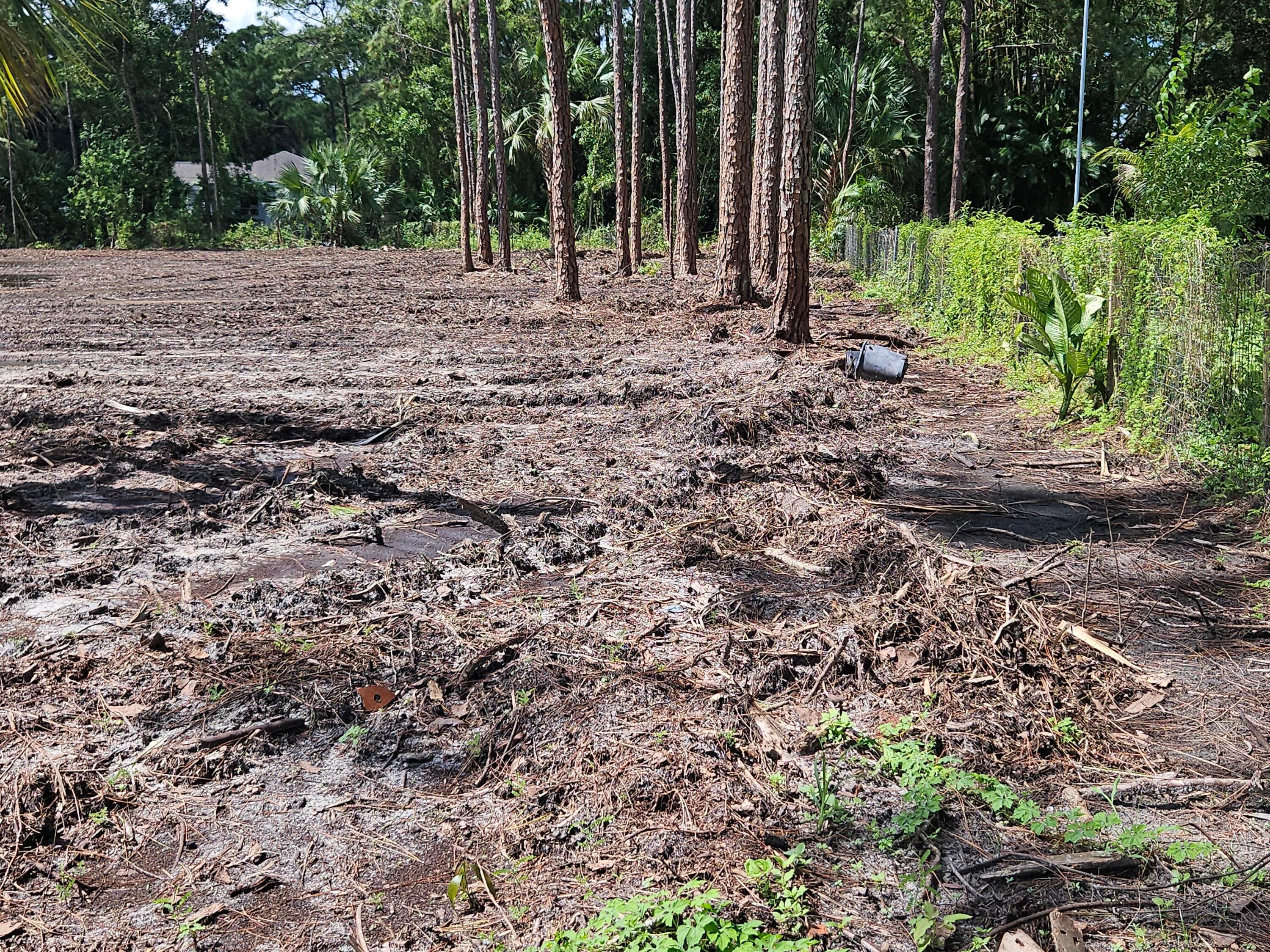 Xxxxx 82nd Lane N, The Acreage, FL 33470 — photo 18 of 19