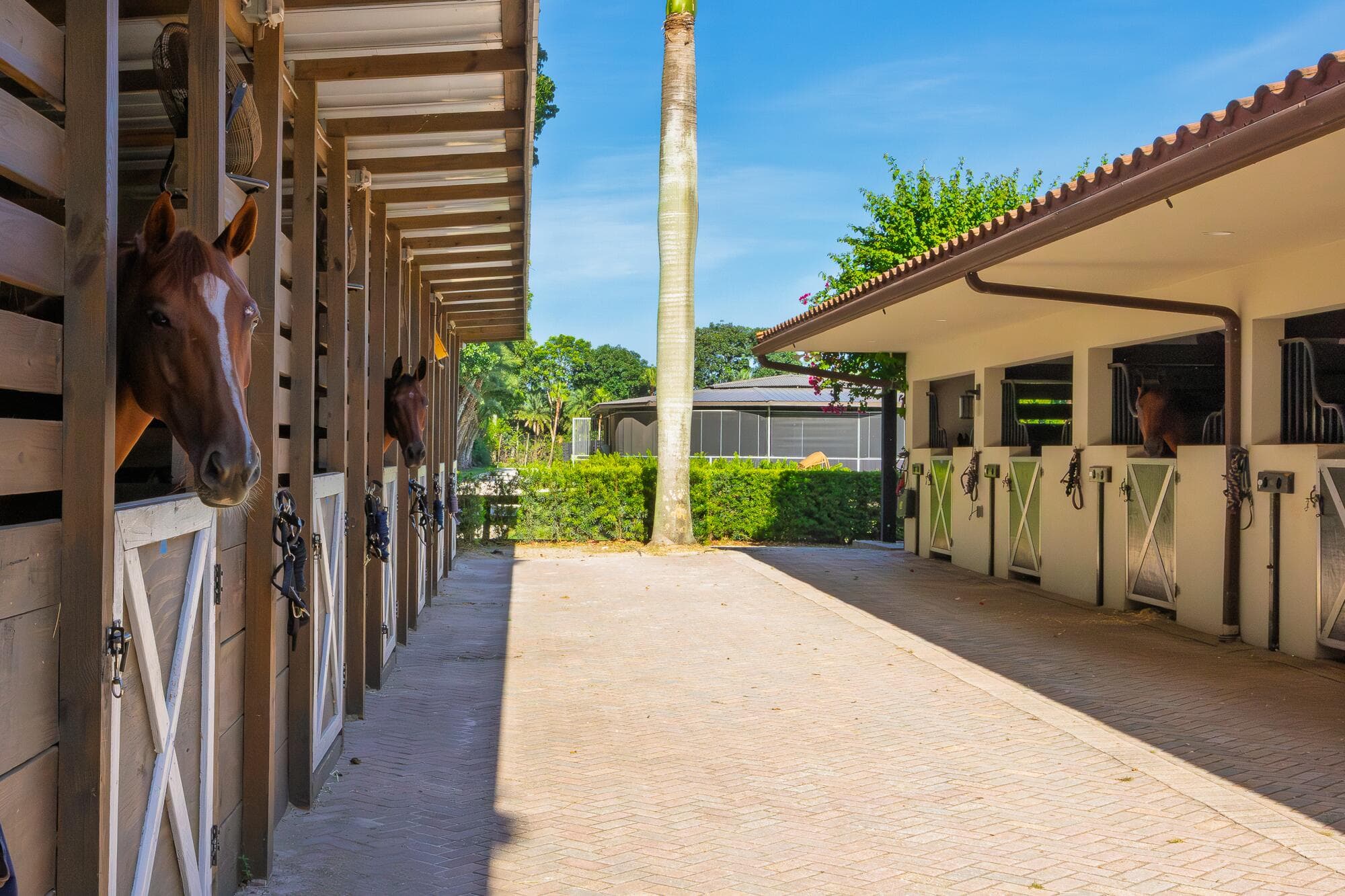 5420 Las Palmas Avenue (Stalls), Wellington, FL 33449 — photo 48 of 62