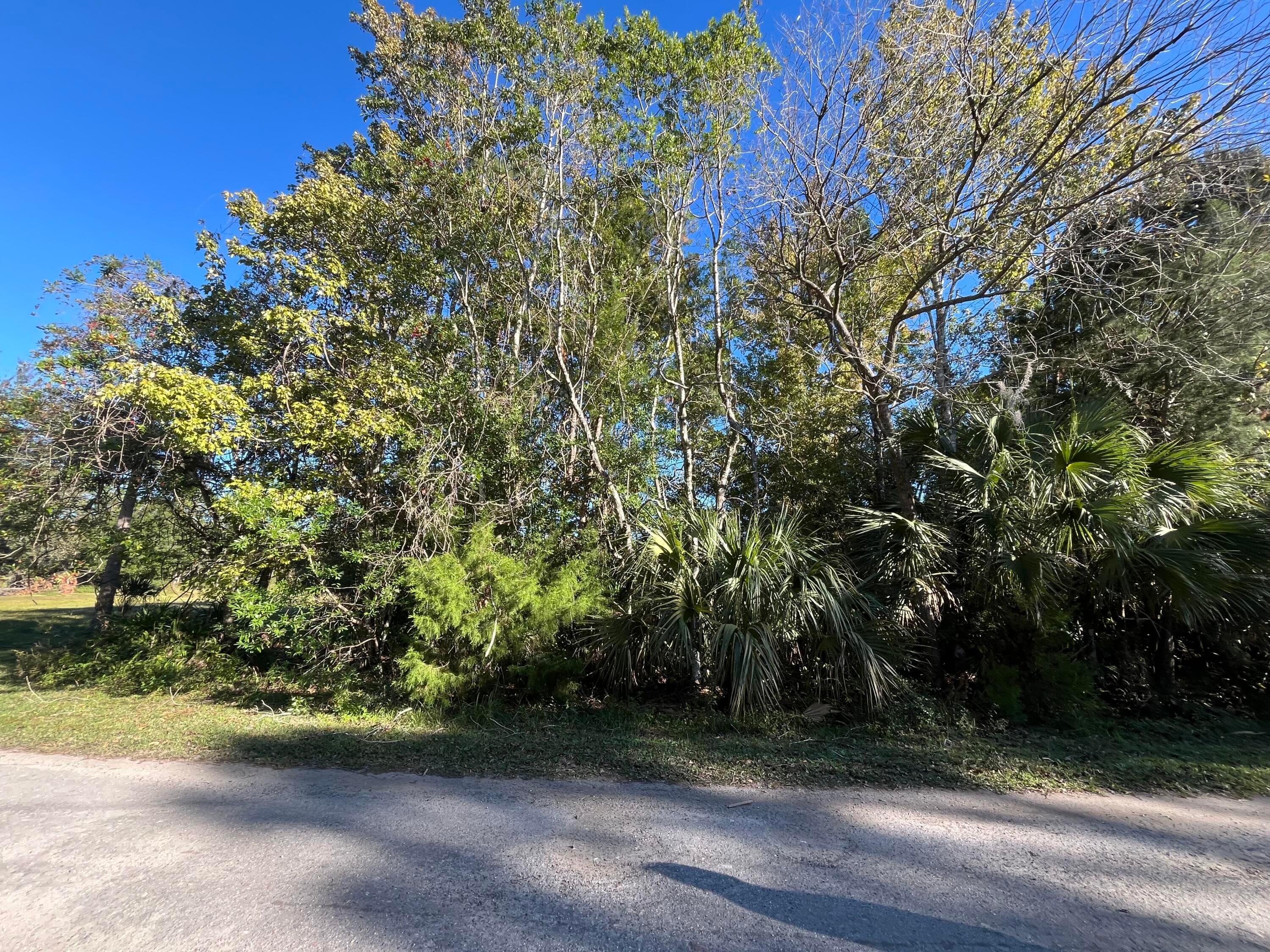 9667 S Lotus Point, Homosassa, FL 34448 — photo