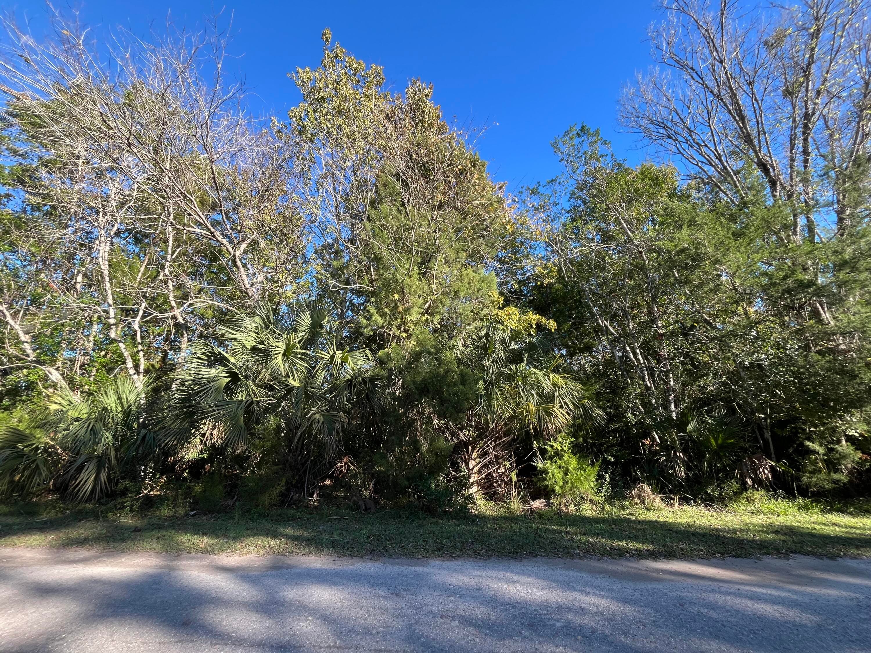 9667 S Lotus Point, Homosassa, FL 34448 — photo 2 of 5