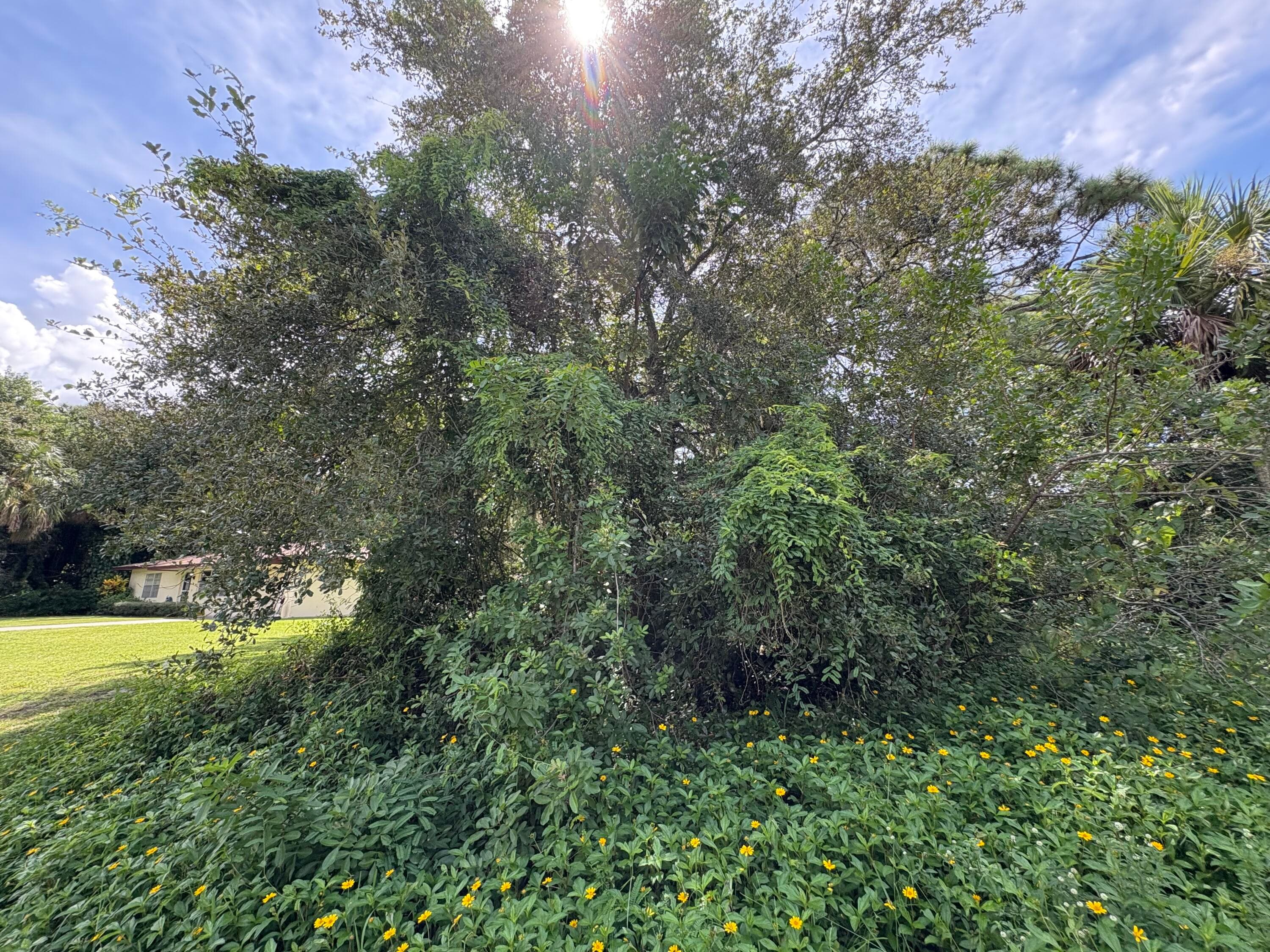 Santa Clar Santa Clara Boulevard, Port St. Lucie, FL 34951 — photo 2 of 2