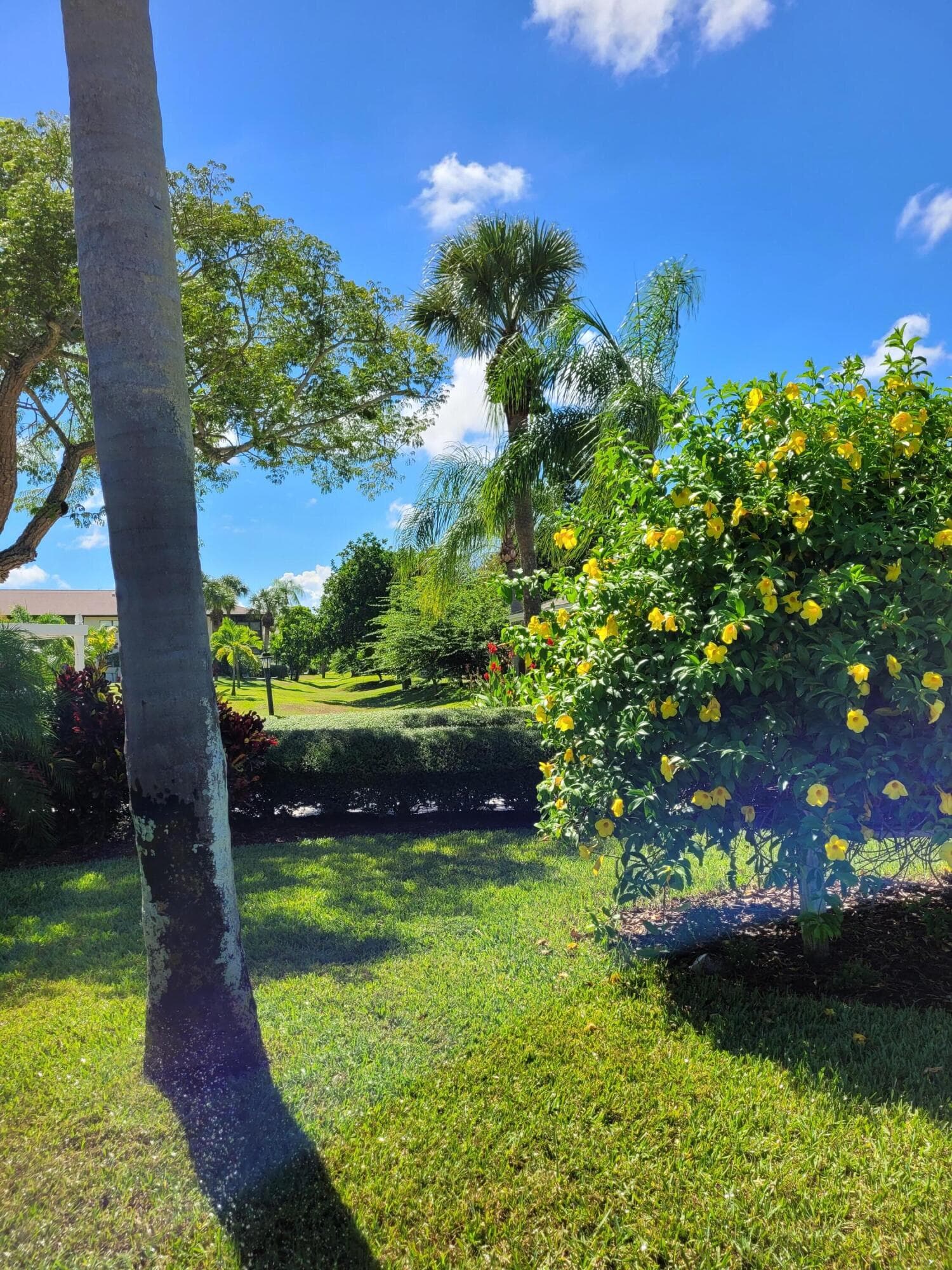 2950 SE Ocean Boulevard 134-5, Stuart, FL 34996 — photo 44 of 52
