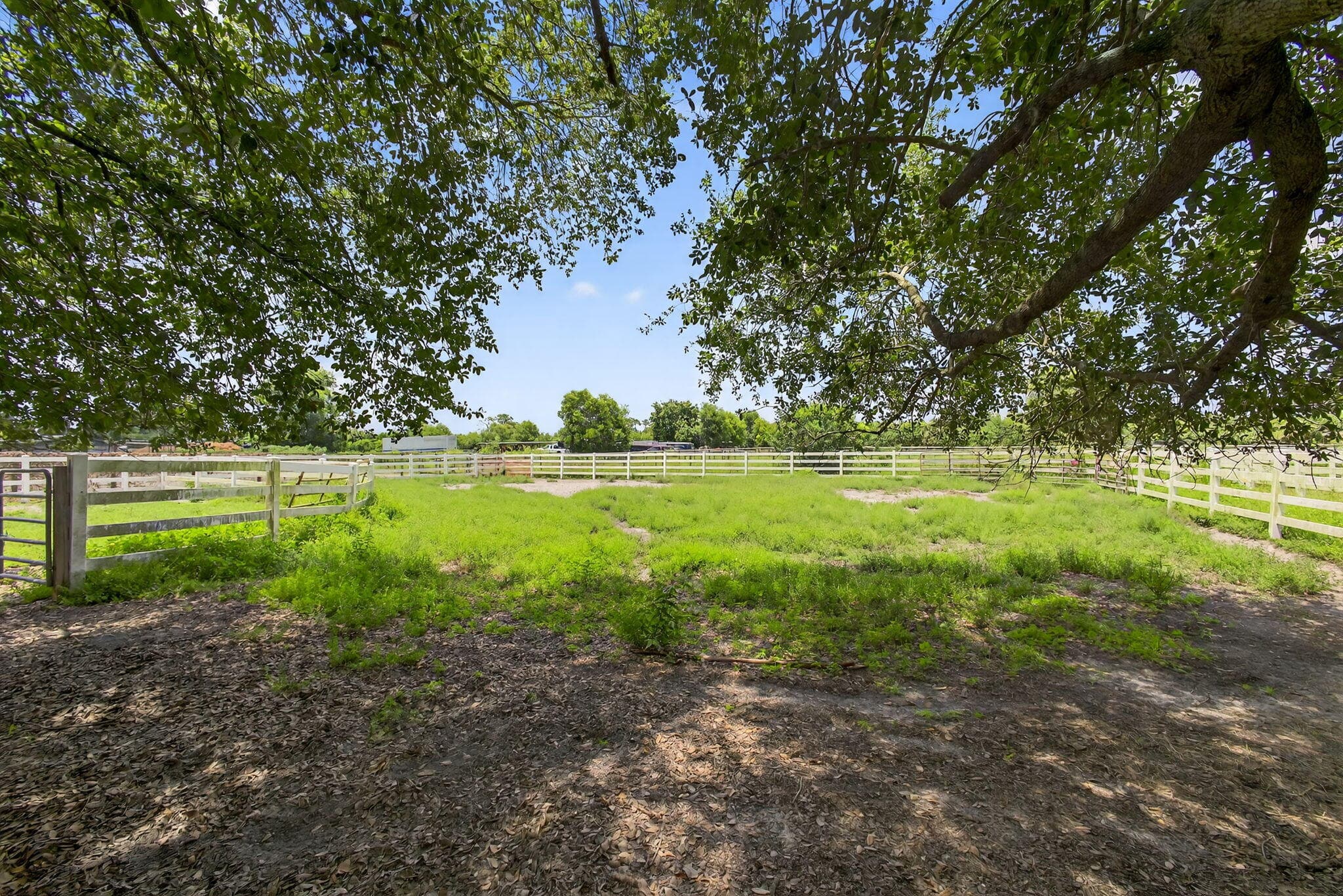 14095 Biddex Road, Loxahatchee Groves, FL 33470 — photo 17 of 60
