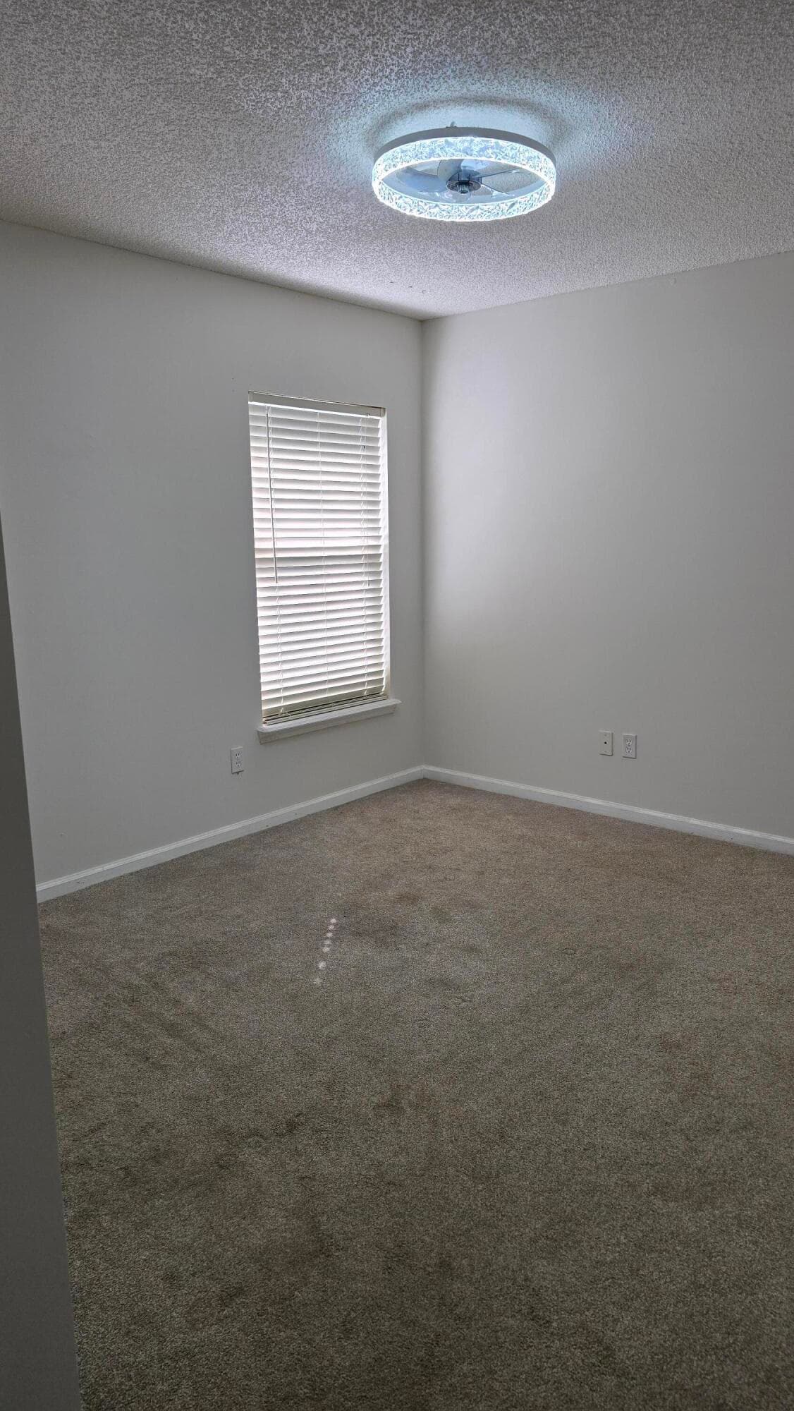 6419 Blue Leaf Lane, Jacksonville, FL 32244 — photo 16 of 21