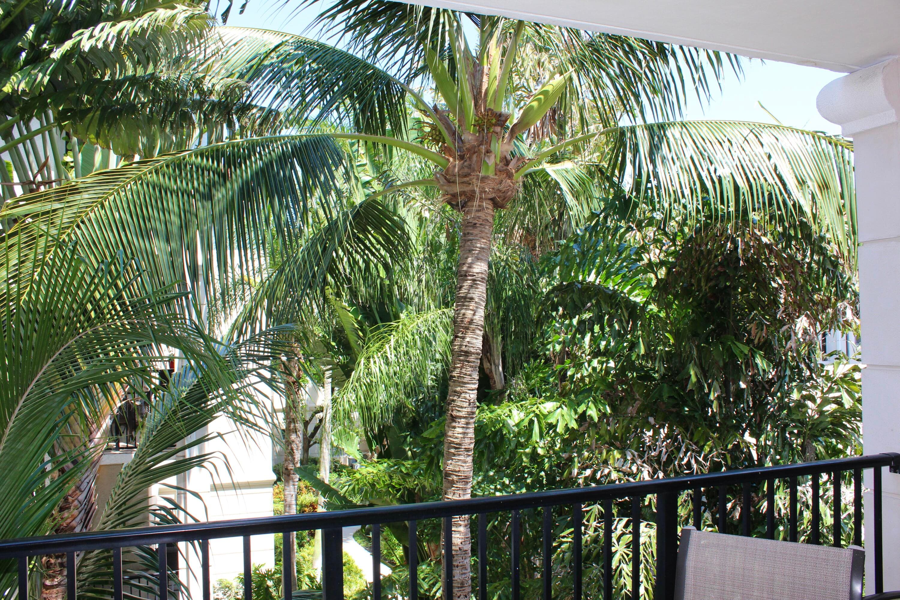 3302 Tuscany Way, Boynton Beach, FL 33435 — photo 14 of 62