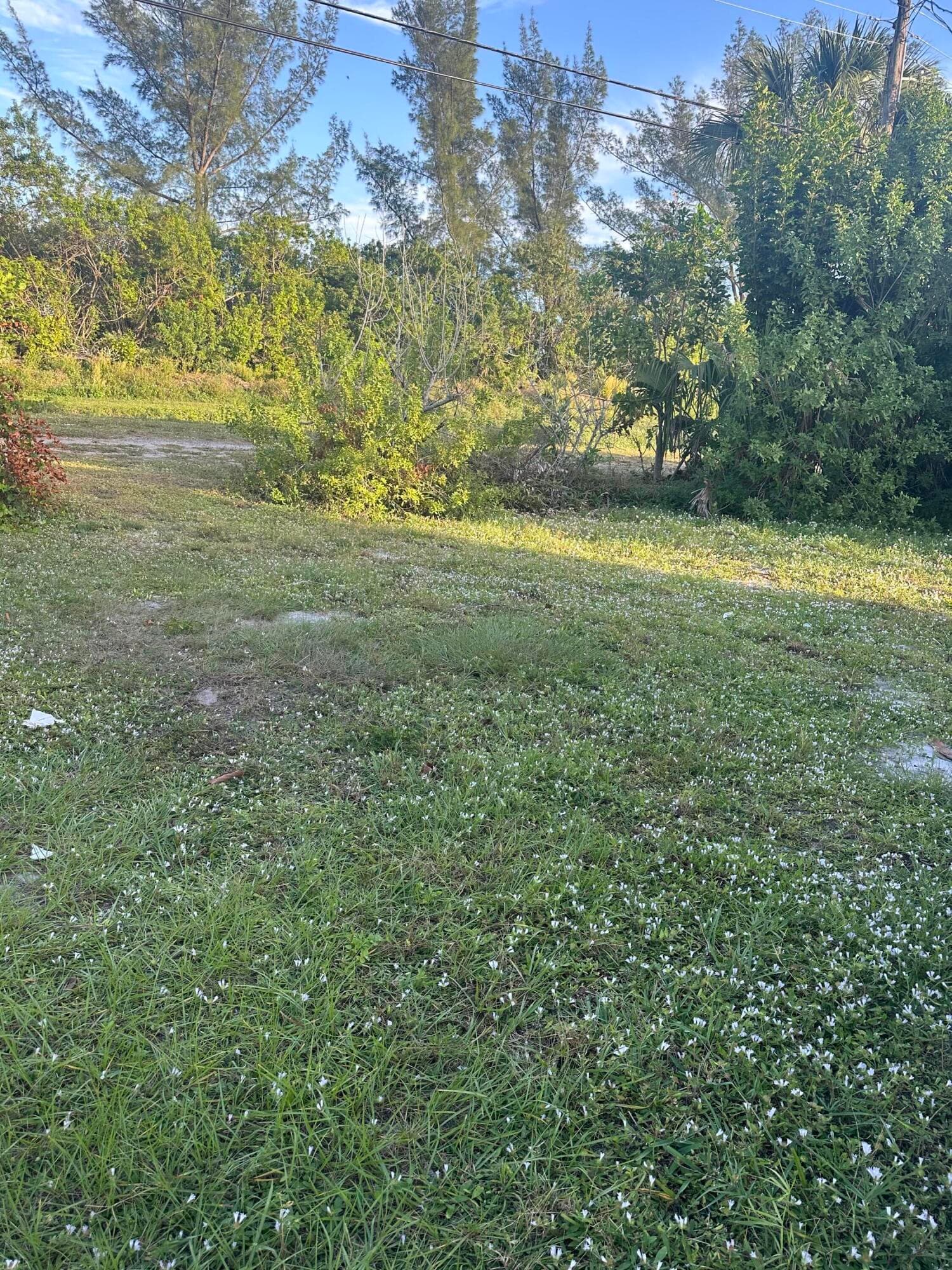 1210 Avenue R, Riviera Beach, FL 33404 — photo 22 of 22