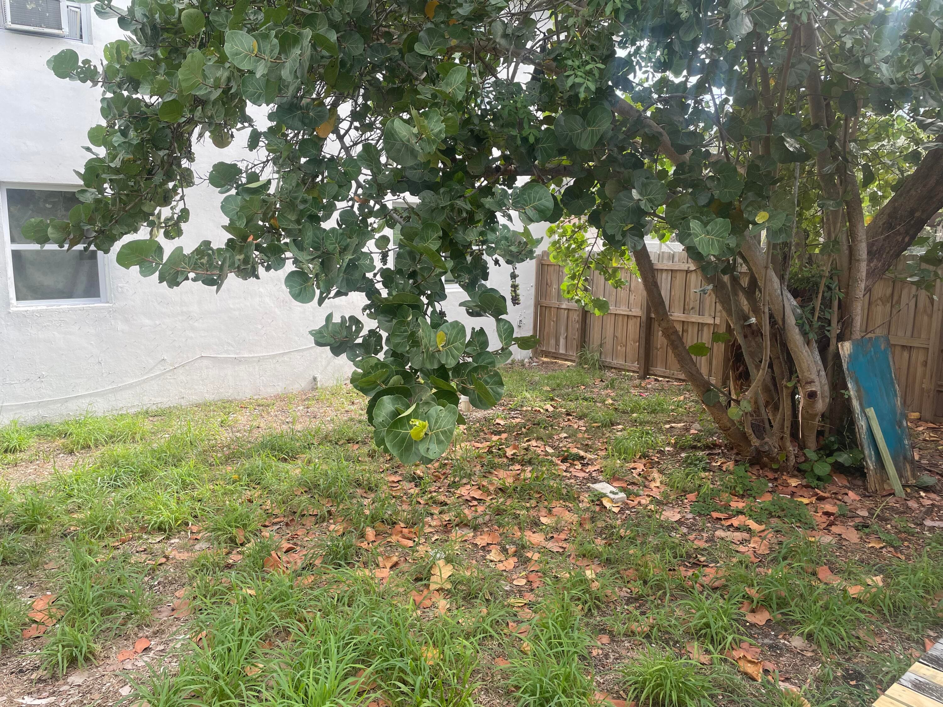 803 3rd Street, West Palm Beach, FL 33401 — photo 8 of 20