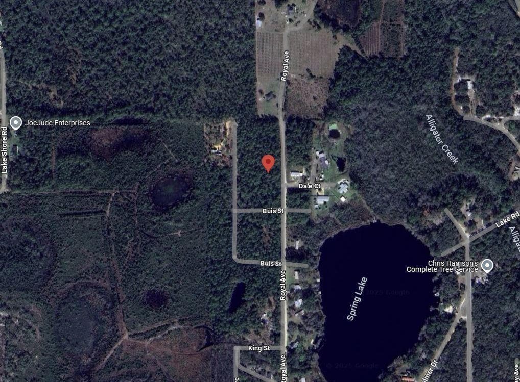 215 Royal Avenue, Interlachen, FL 32148 — photo 7 of 13