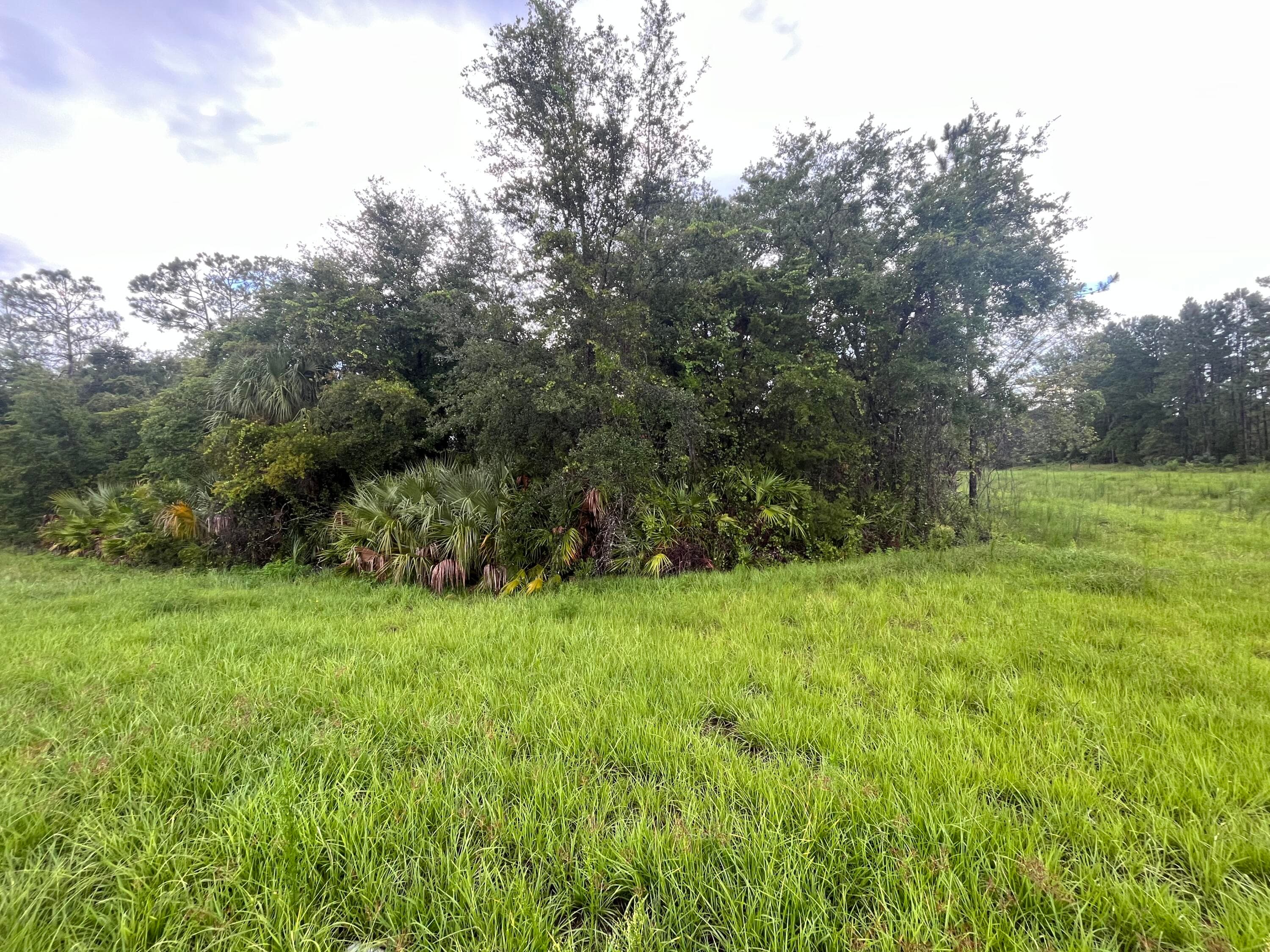 6883 St Johns Avenue, Palatka, FL 32177 — photo 4 of 4