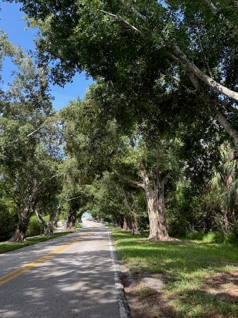 10691 SE Jupiter Narrows Drive, Hobe Sound, FL 33455 — photo 50 of 53