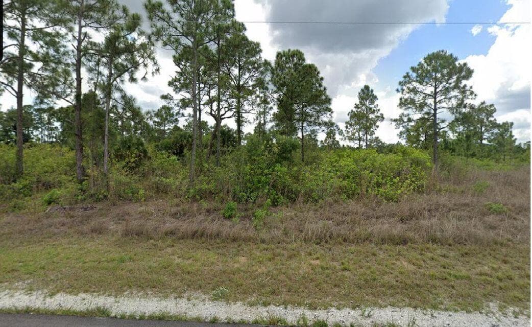 1003 Hines Avenue, Alva, FL 33920 — photo