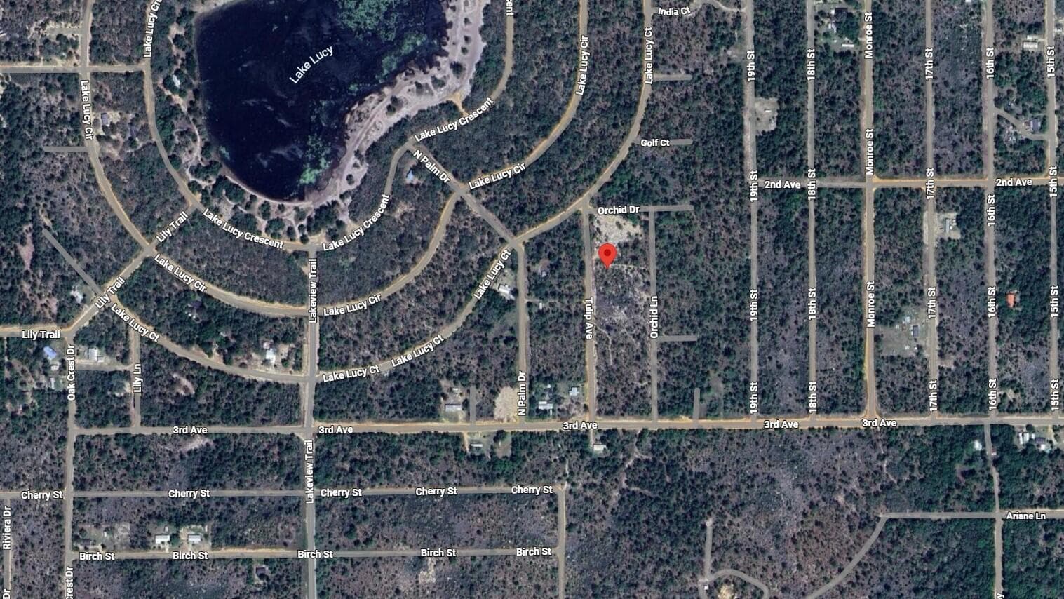 116 Tulip Avenue, Interlachen, FL 32148 — photo 3 of 7