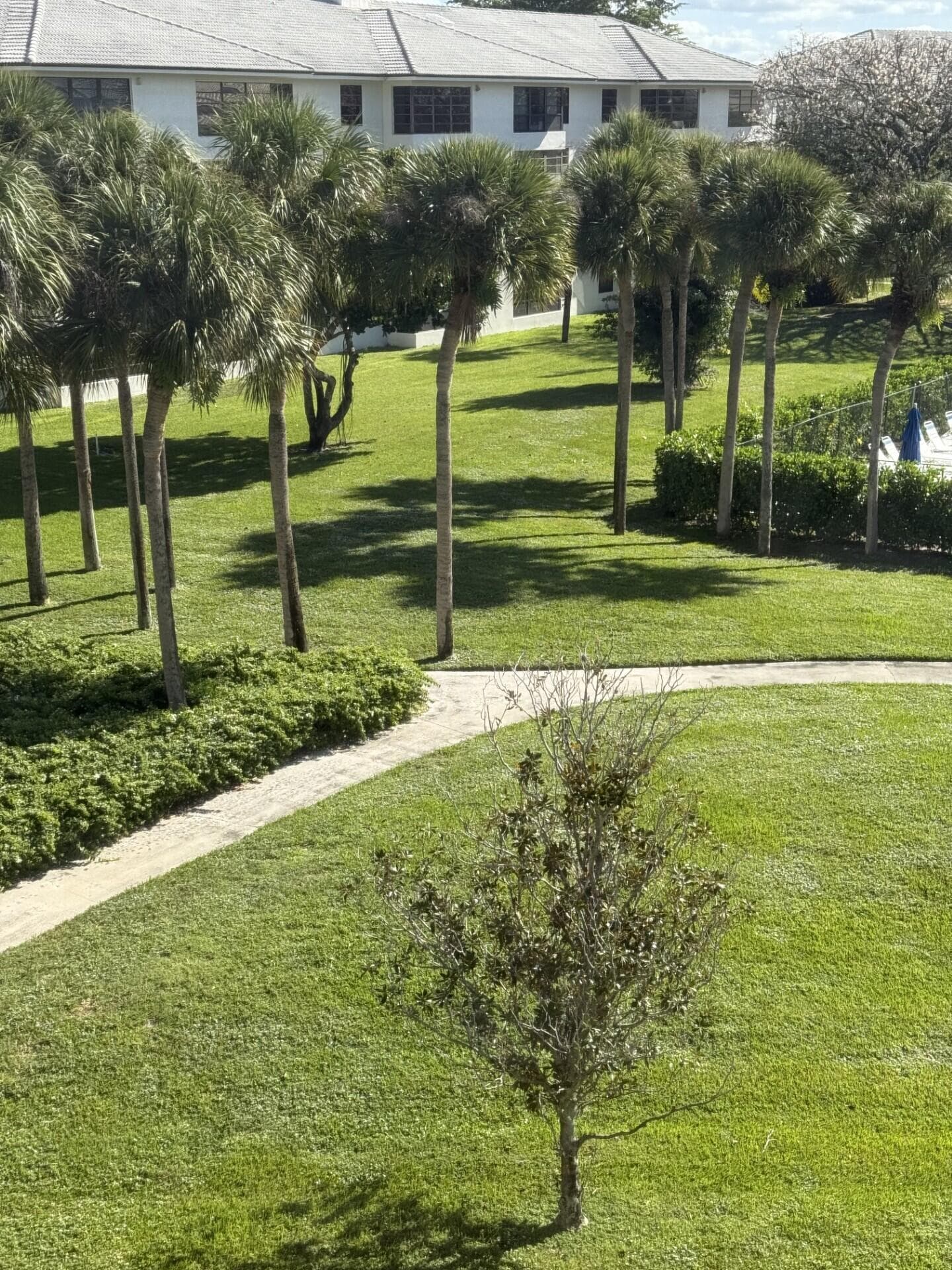 3710 Whitehall Drive 401, West Palm Beach, FL 33401 — photo 3 of 17