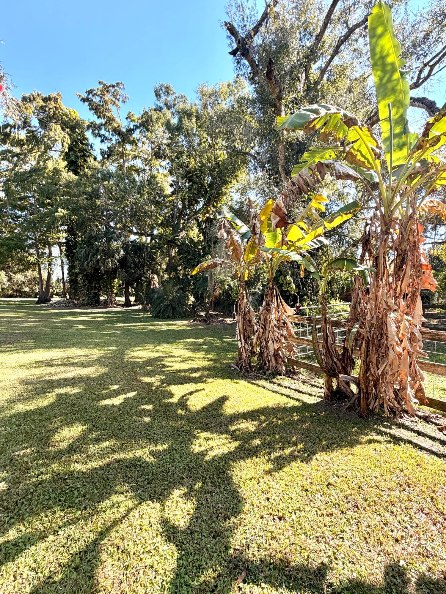 505 SE 18th Way, Okeechobee, FL 34974 — photo 51 of 53