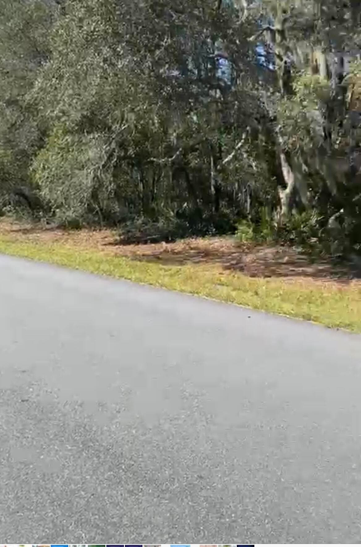 4017 SW 133rd Loop, Ocala, FL 34473 — photo 3 of 5