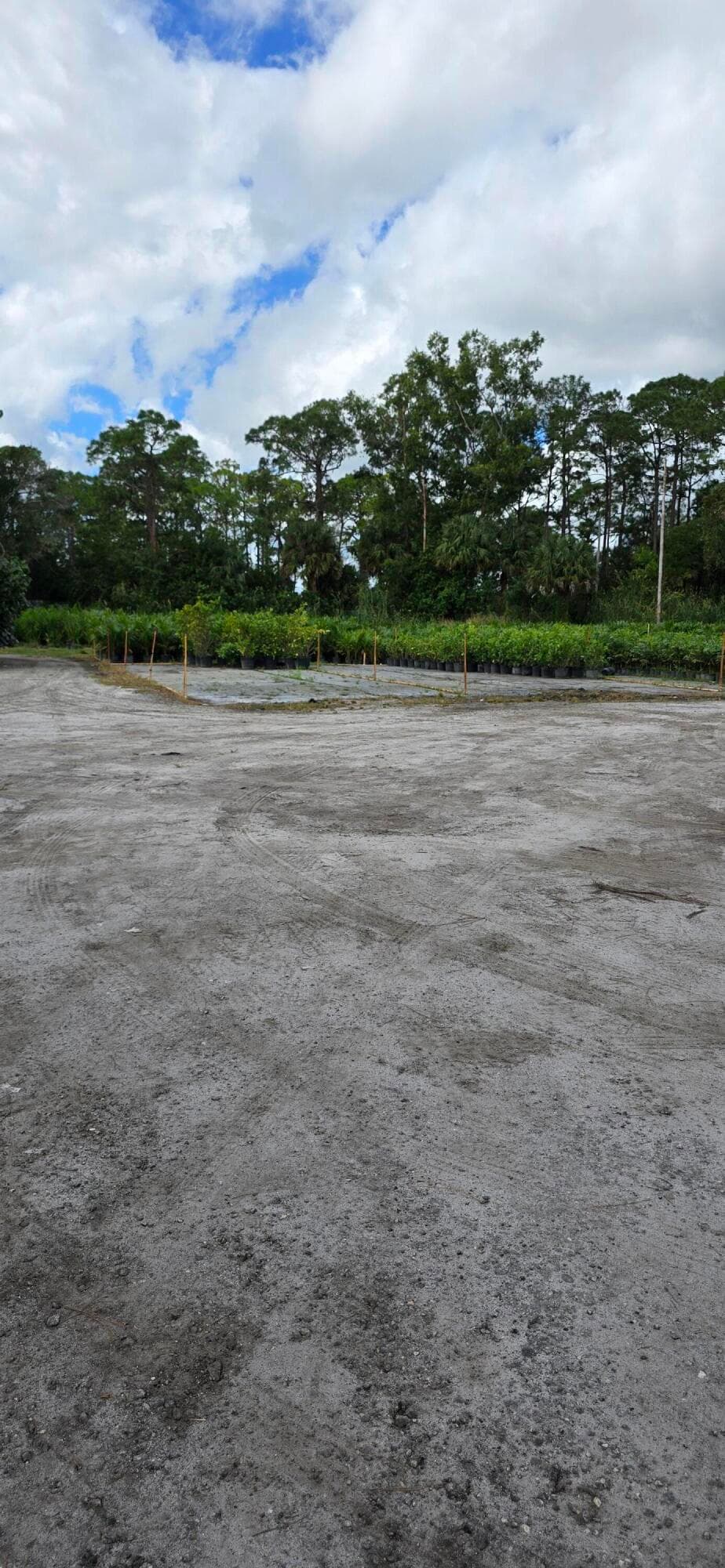 15720 Okeechobee Boulevard, Loxahatchee Groves, FL 33470 — photo 12 of 14