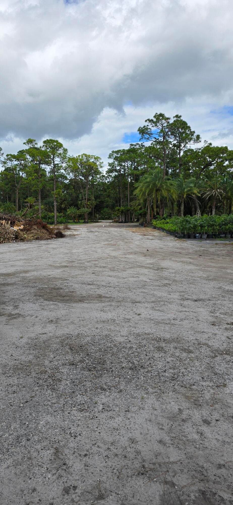 15720 Okeechobee Boulevard, Loxahatchee Groves, FL 33470 — photo 13 of 14
