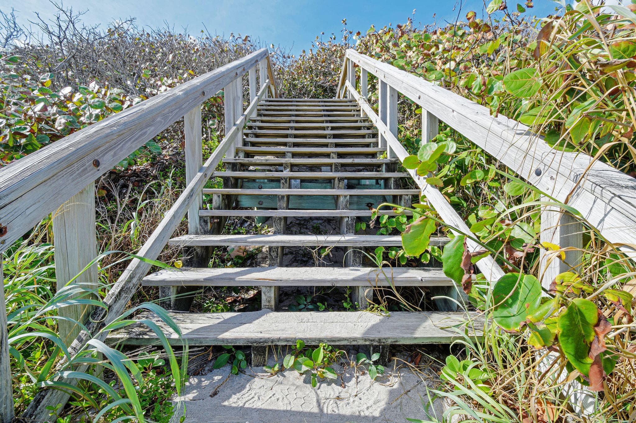 444 Zephyr Way, Juno Beach, FL 33408 — photo 45 of 53