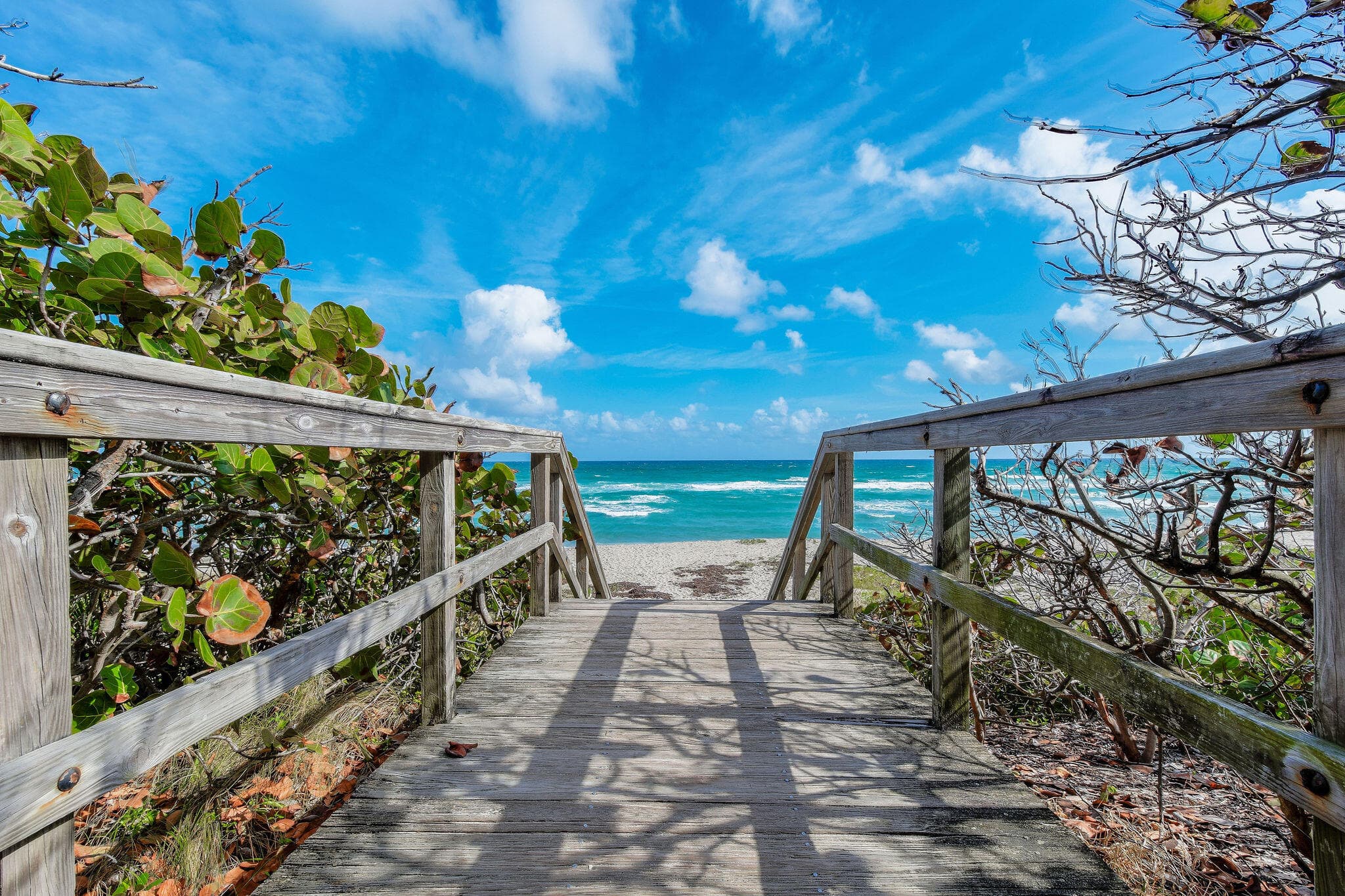 941 Ocean Drive, Juno Beach, FL 33408 — photo 44 of 53