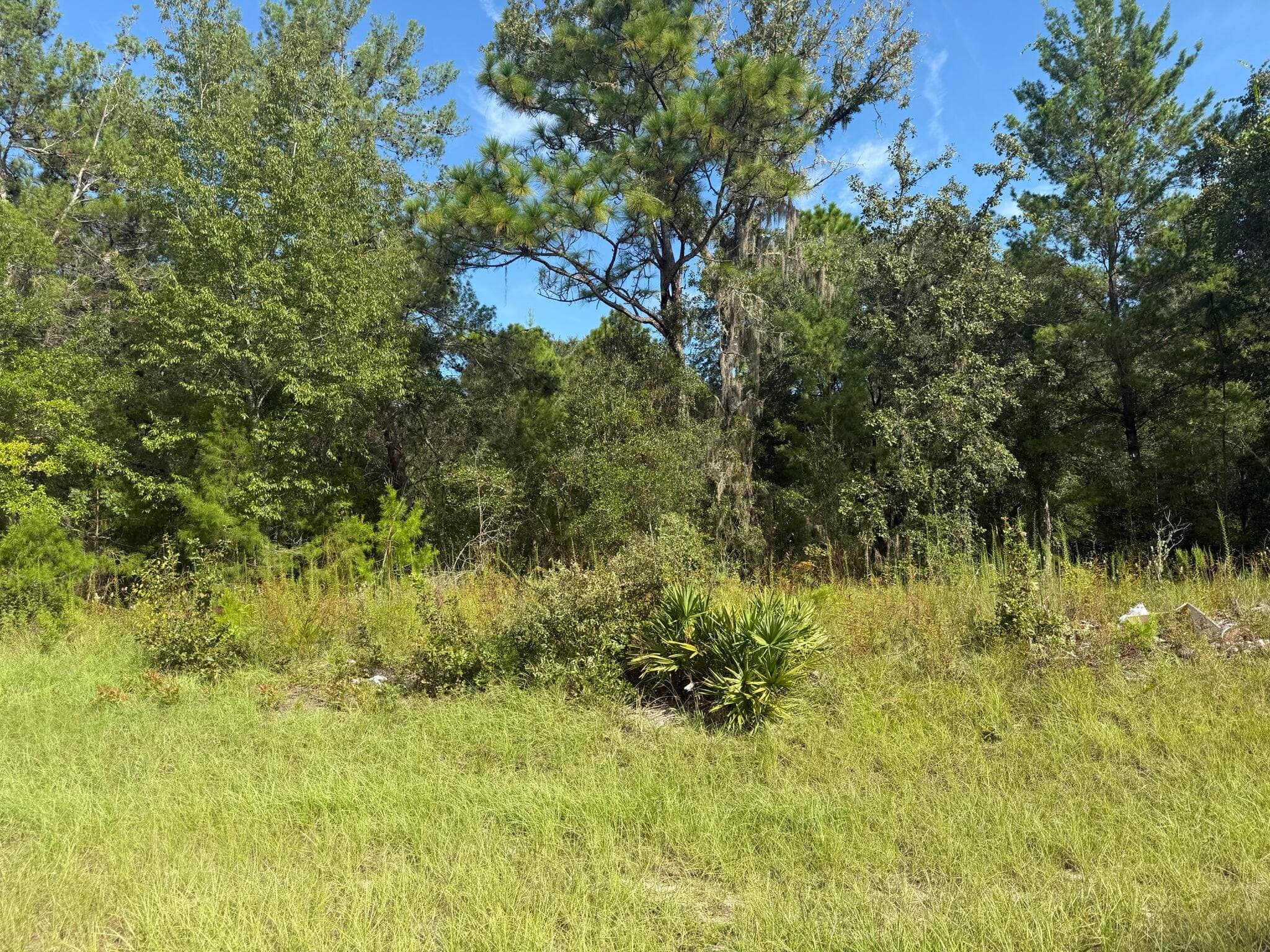 Tbd 79th Terrace Road, Dunnellon, FL 34432 — photo 2 of 4