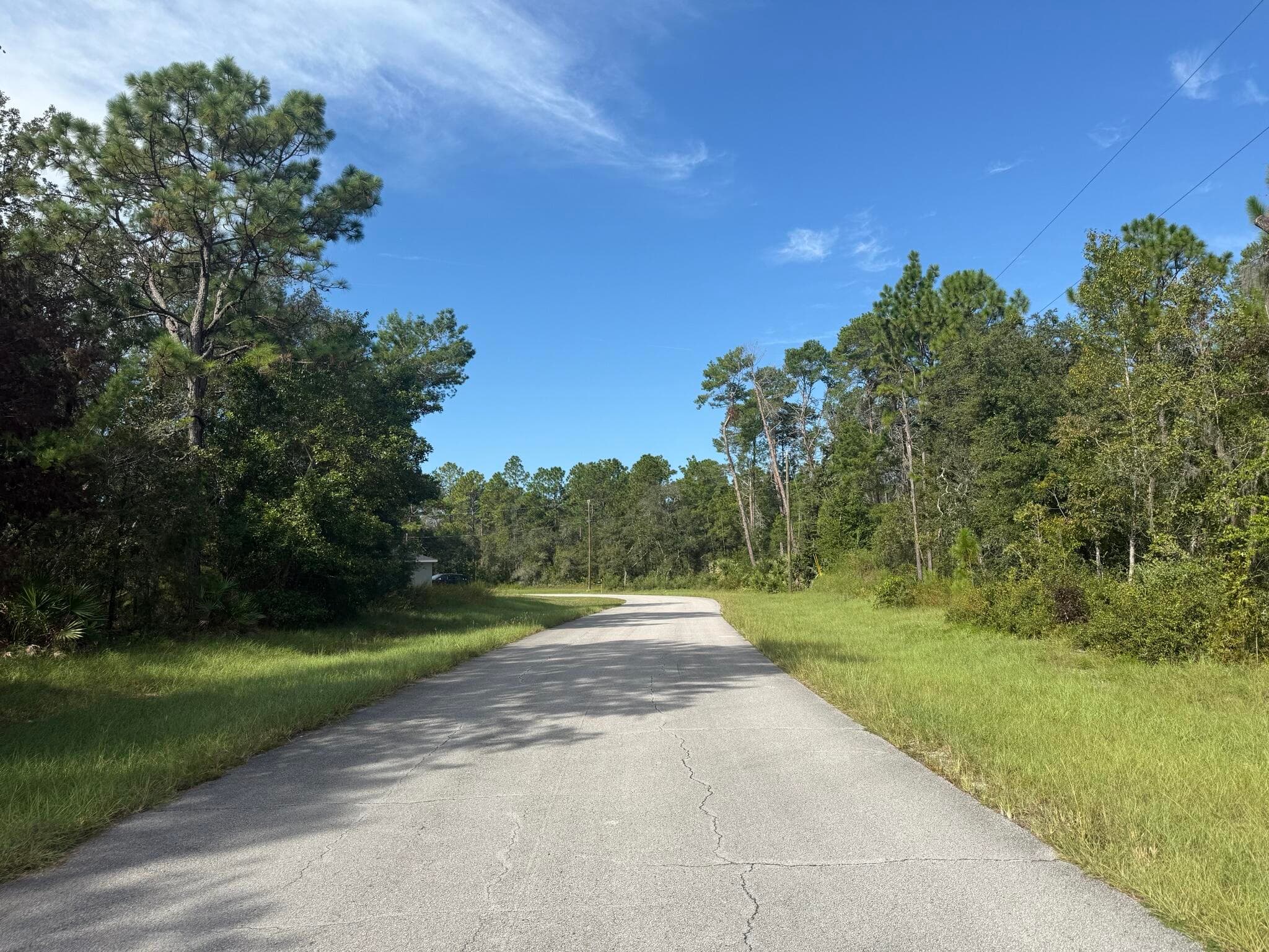 Tbd 79th Terrace Road, Dunnellon, FL 34432 — photo 4 of 4