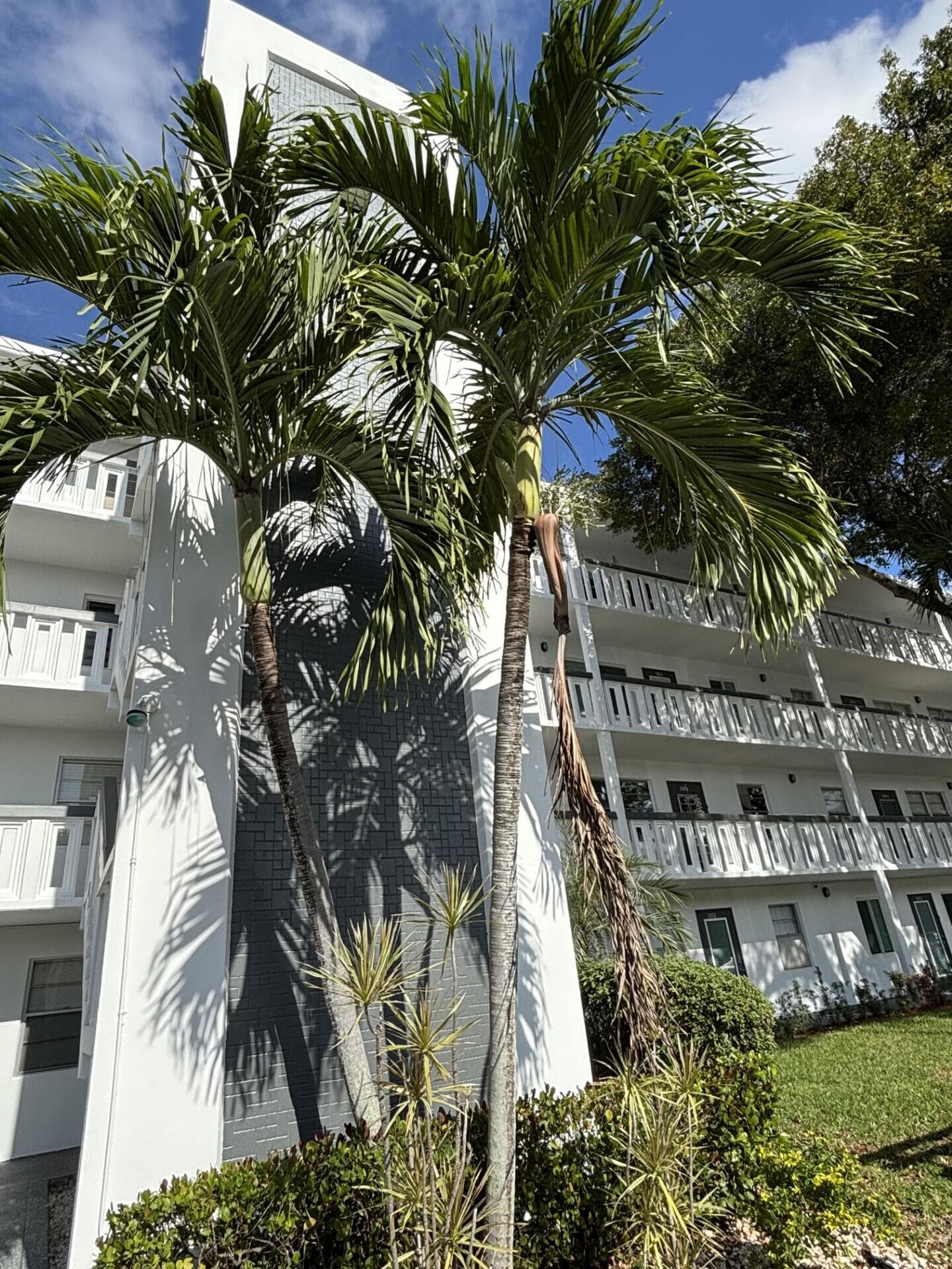 4064 Newport Q 4064, Deerfield Beach, FL 33442 — photo 30 of 31