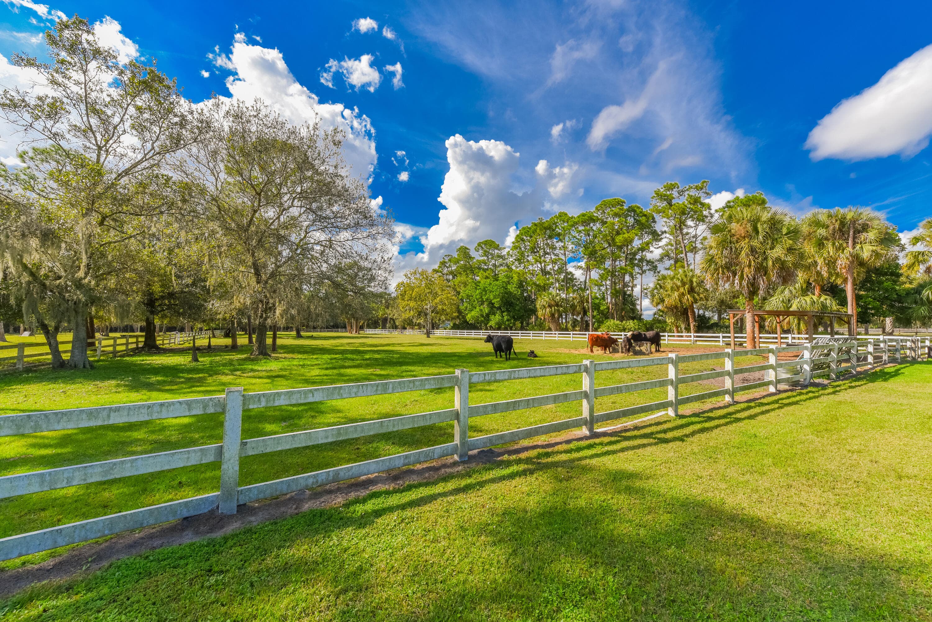 5205 SW Honey Terrace, Palm City, FL 34990 — photo 58 of 76