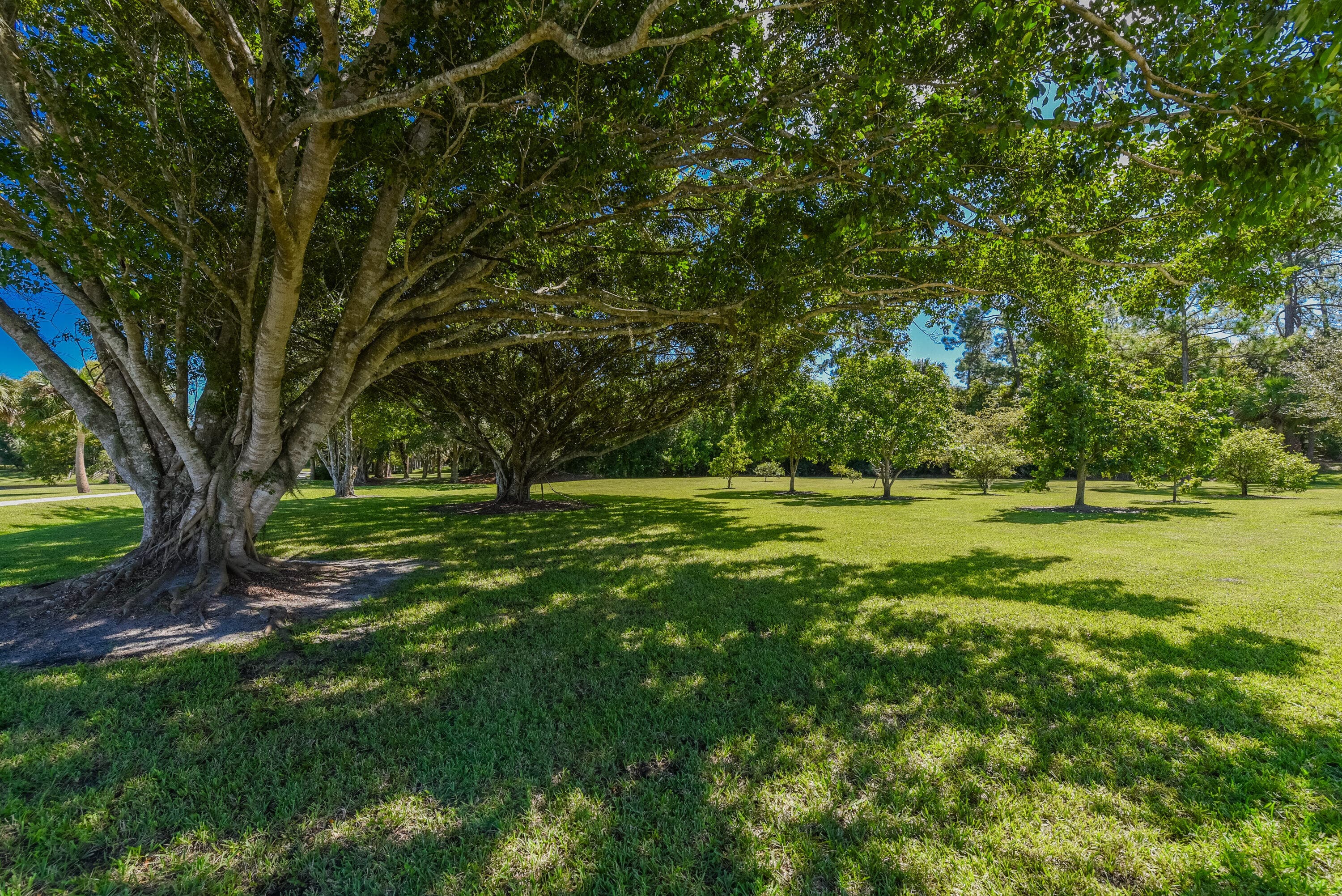 5205 SW Honey Terrace, Palm City, FL 34990 — photo 71 of 76