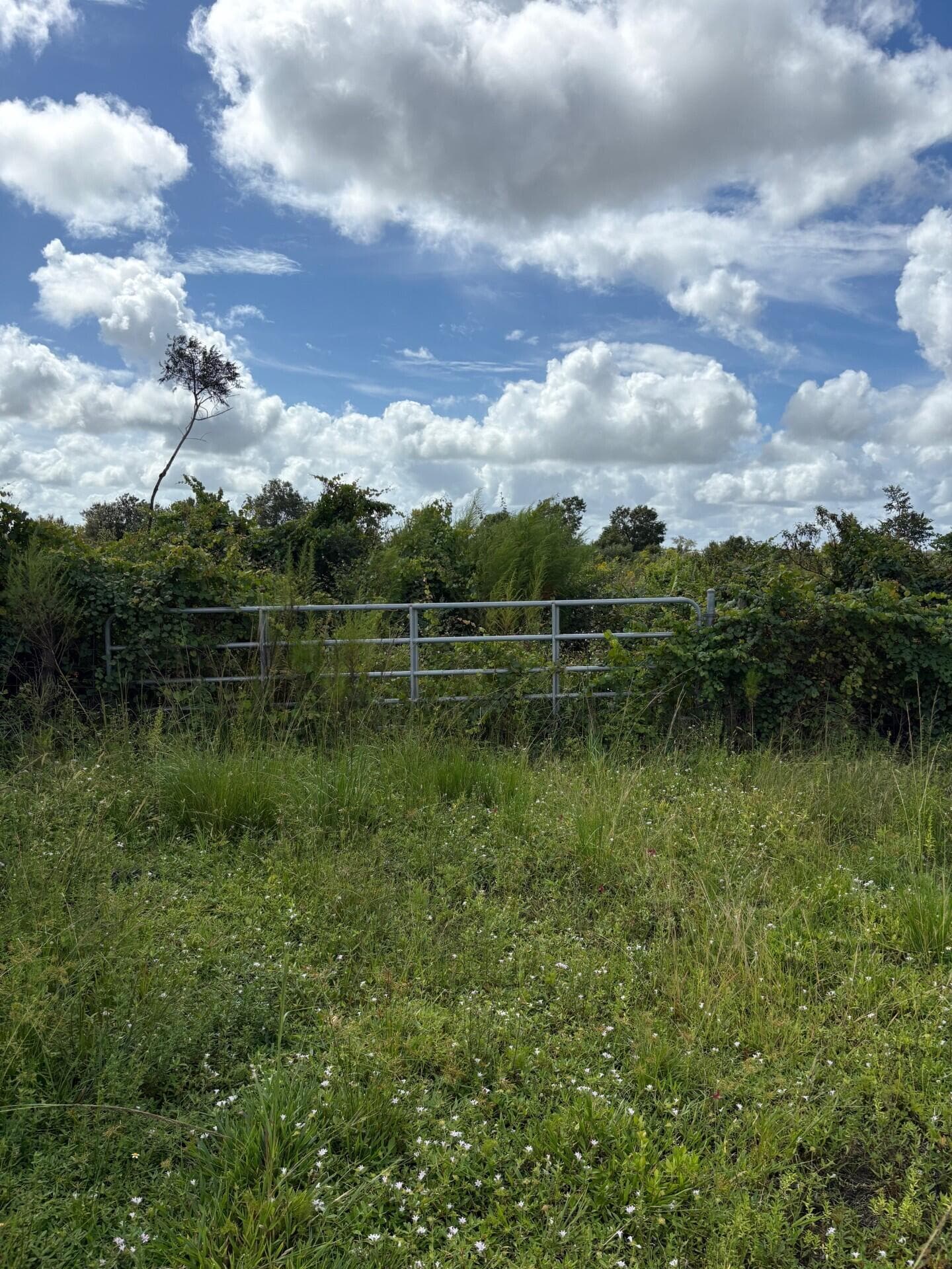 16426 NW 262nd Street, Okeechobee, FL 34972 — photo 2 of 2
