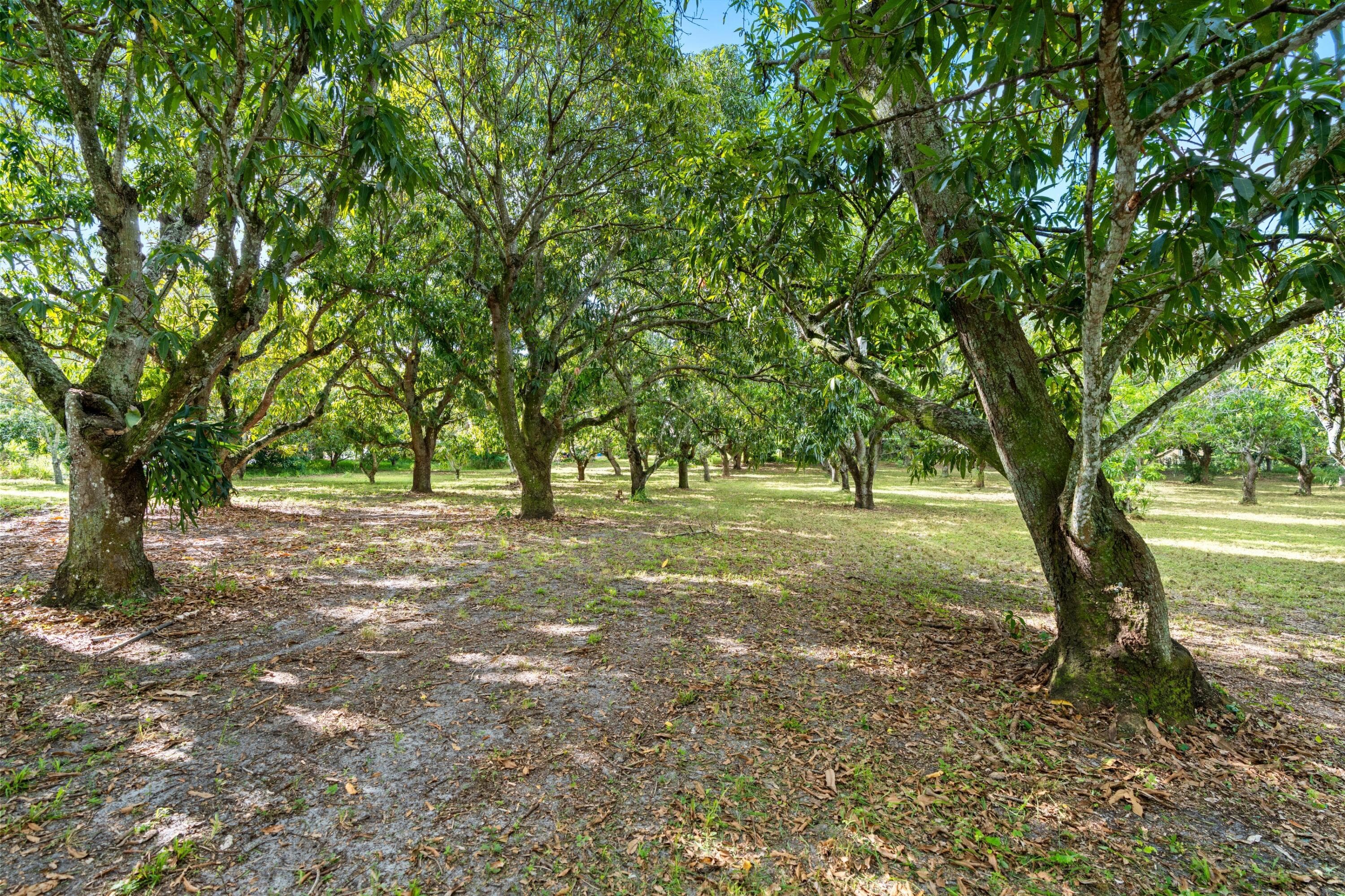 1908 Hypoluxo Road, Lake Worth, FL 33462 — photo 10 of 11