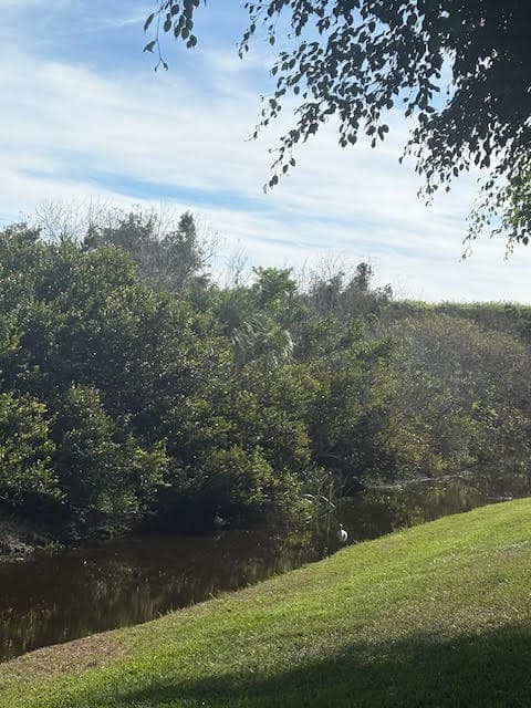 1848 Via Castello, Wellington, FL 33411 — photo 70 of 107