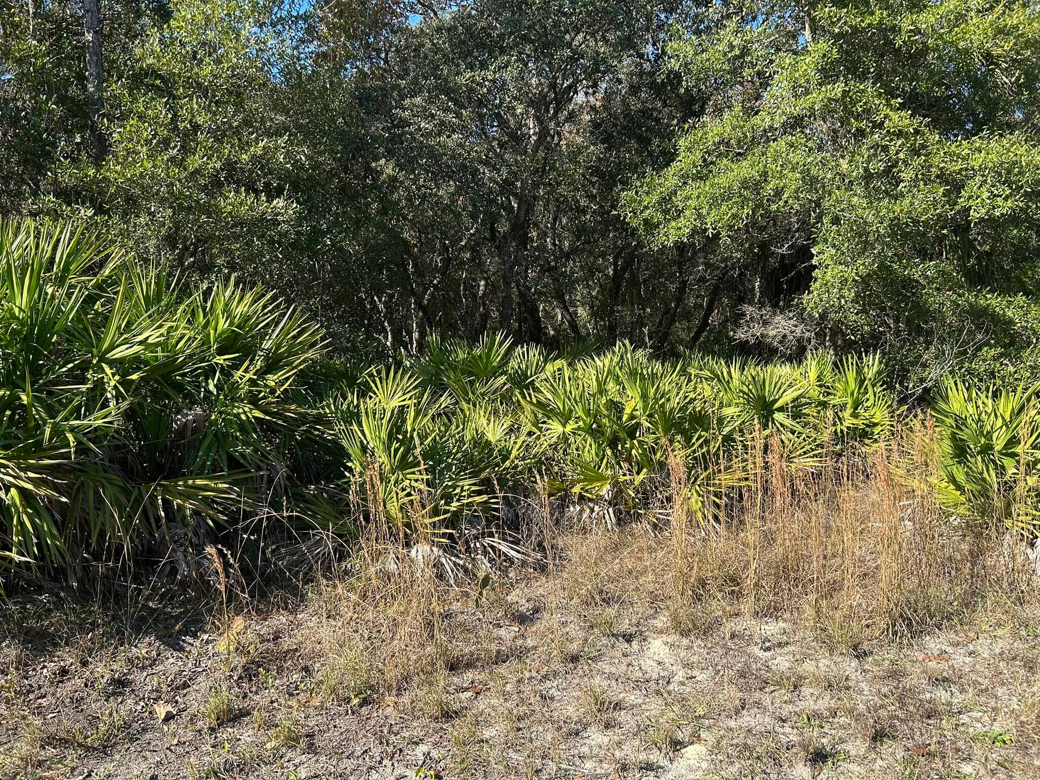 632 N Dunkenfield Avenue, Crystal River, FL 34429 — photo 2 of 8