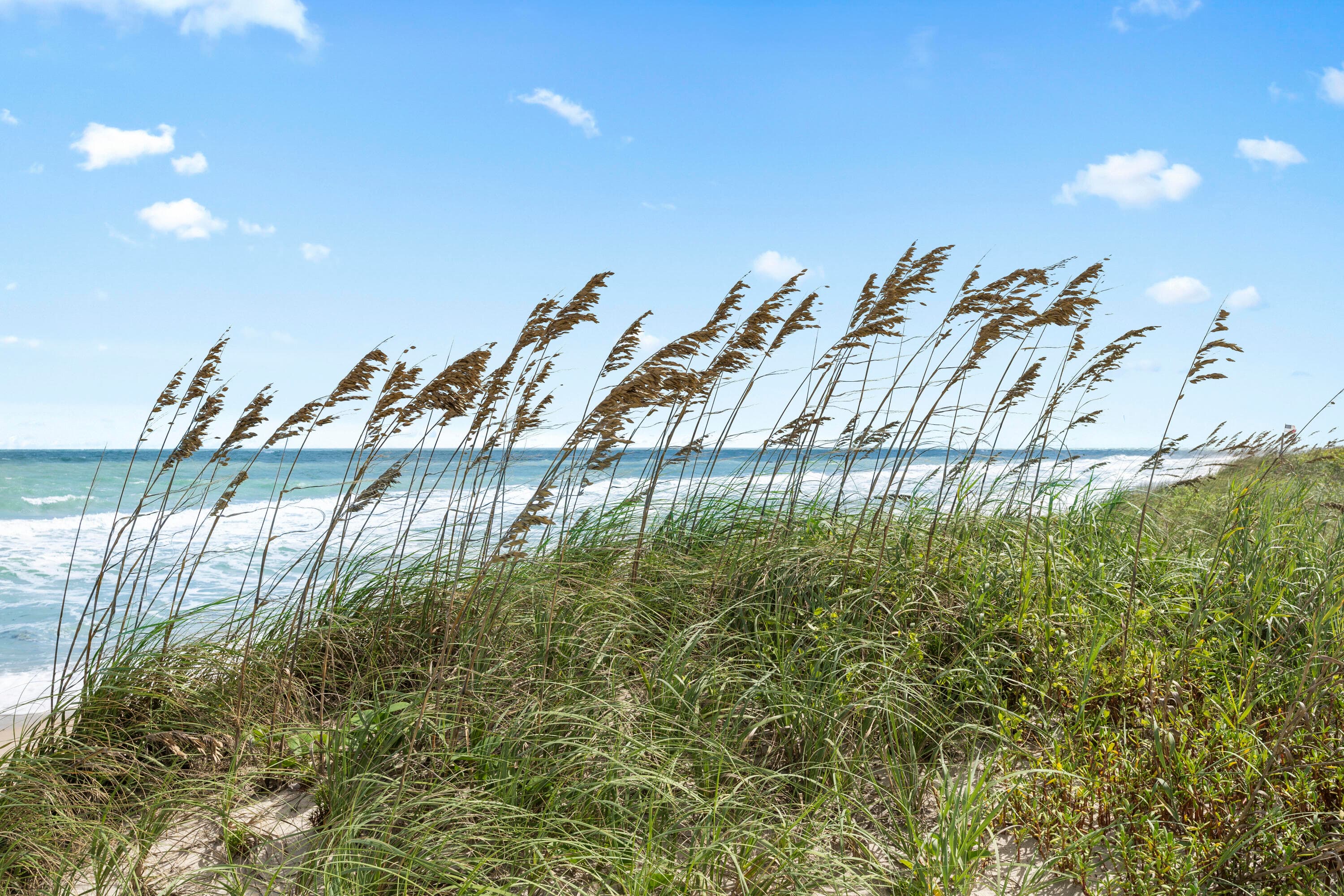 518 N 2nd Street, Fort Pierce, FL 34950 — photo 55 of 69