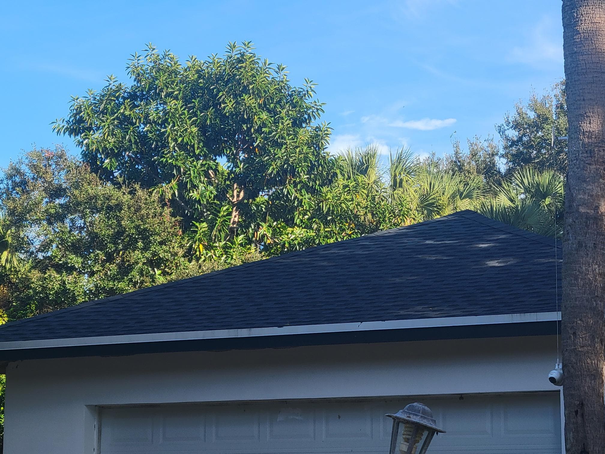 1817 Palm Boulevard, Melbourne, FL 32901 — photo 32 of 35