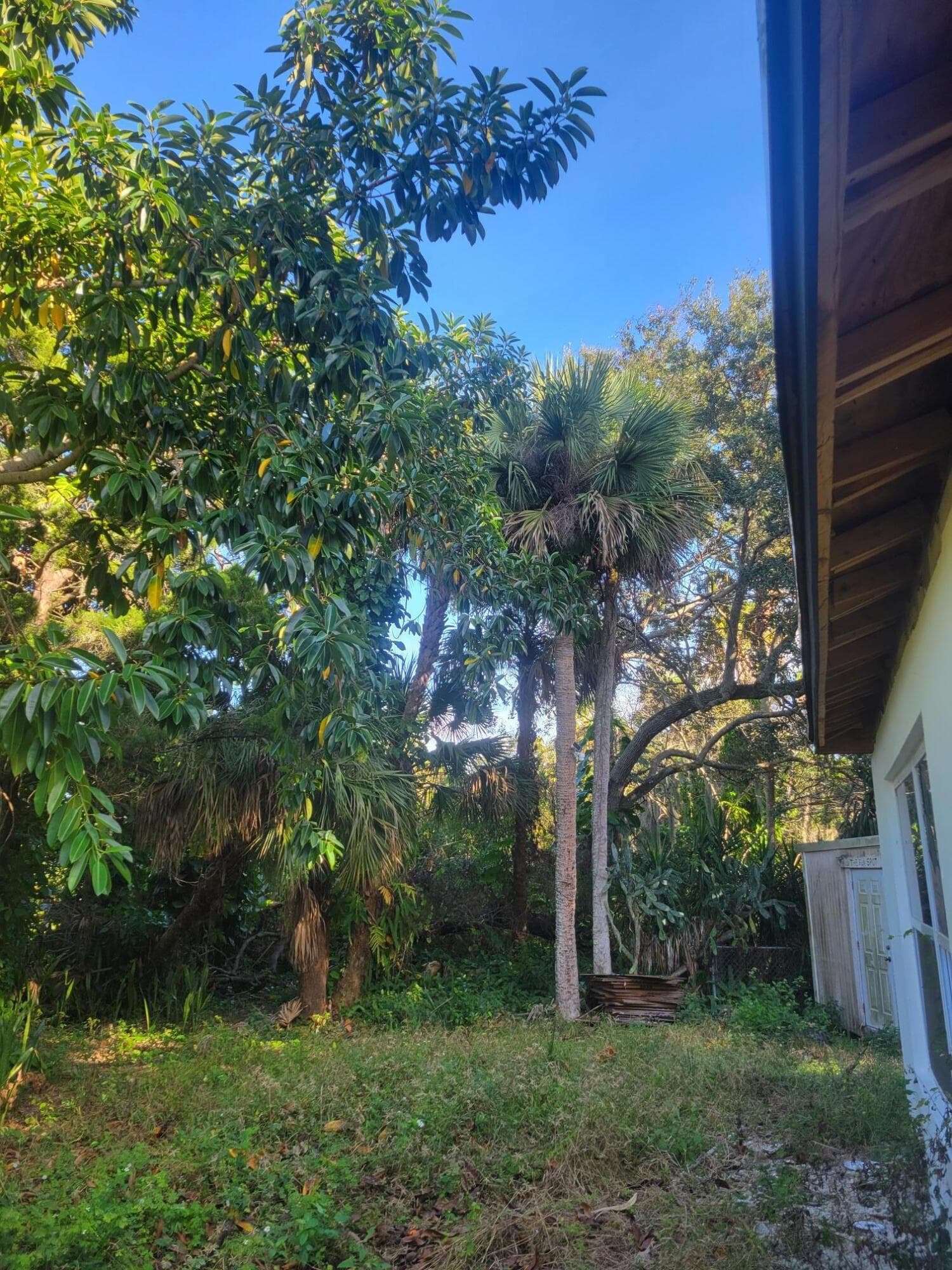 1817 Palm Boulevard, Melbourne, FL 32901 — photo 28 of 35