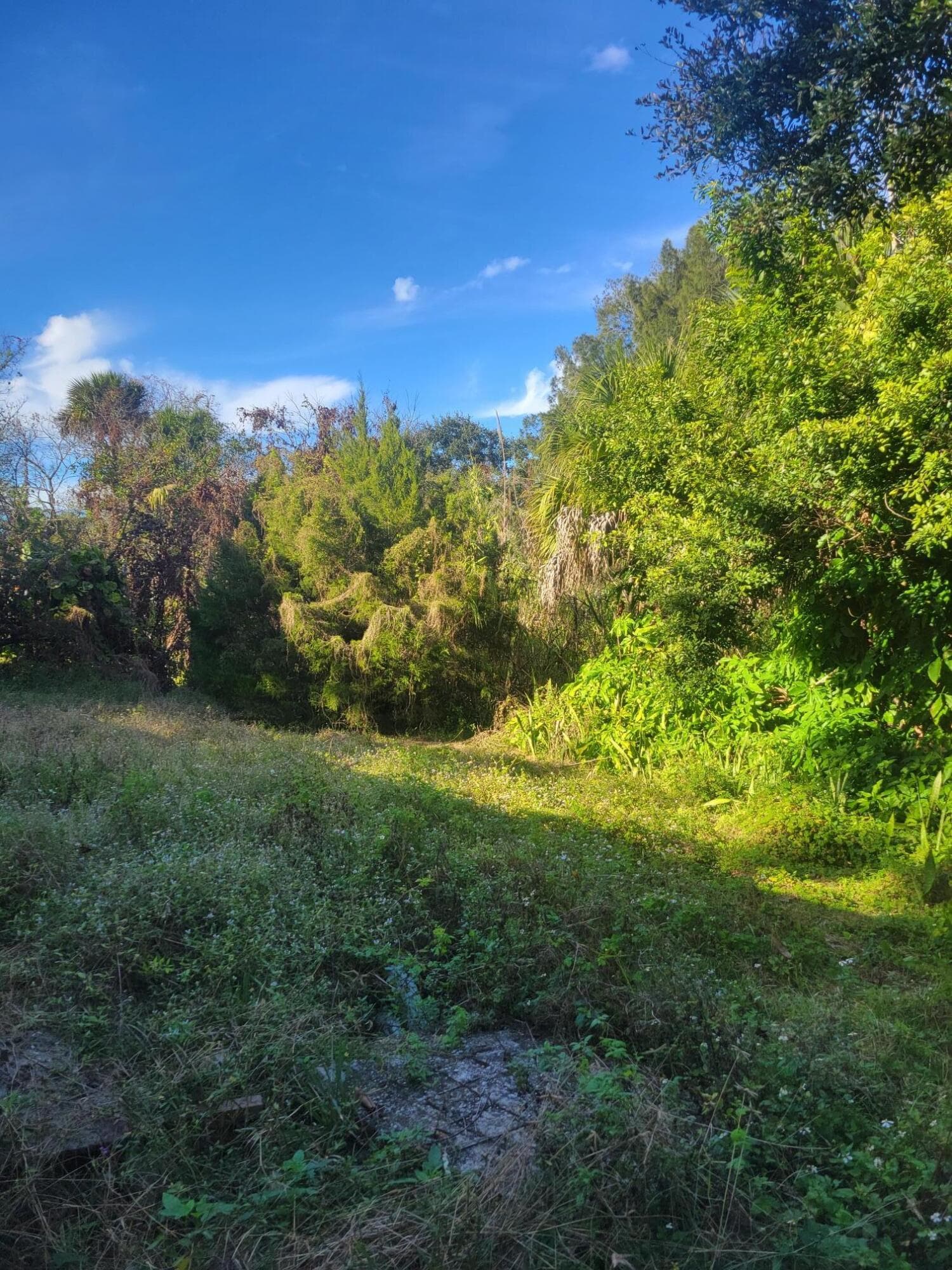 1817 Palm Boulevard, Melbourne, FL 32901 — photo 31 of 35