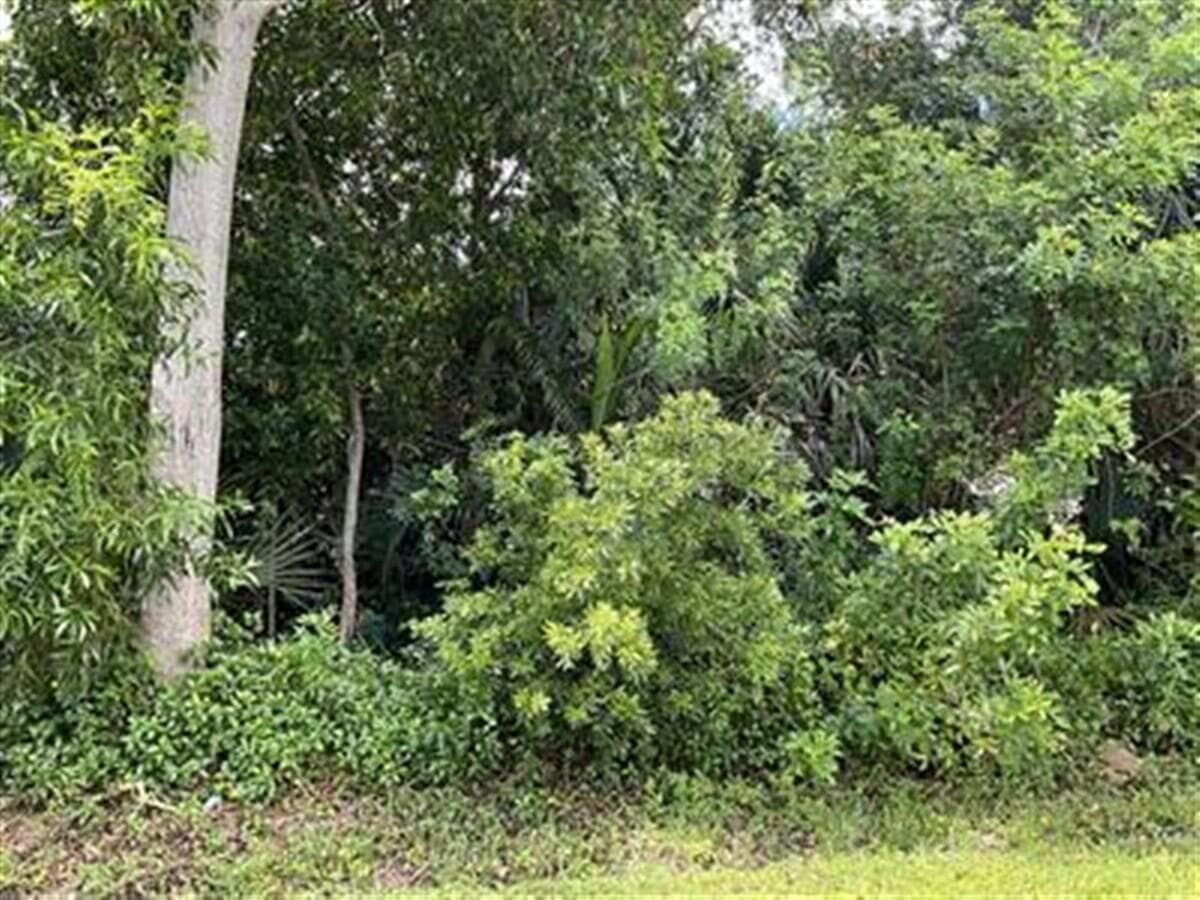 1858 SE North Buttonwood Drive, Port St. Lucie, FL 34952 — photo 1 of 2