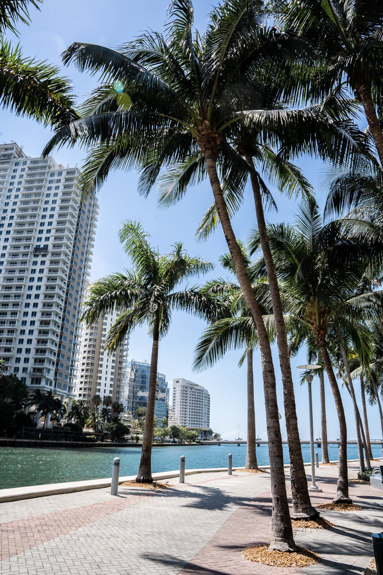 495 Brickell Avenue 911, Miami, FL 33131 — photo 21 of 44
