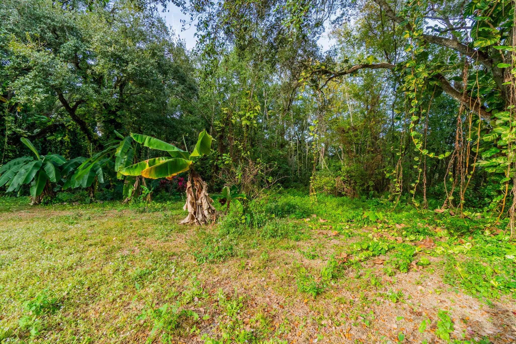3453 NW 160th Street, Okeechobee, FL 34972 — photo 21 of 40