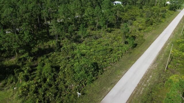 1115 Chiefland Street E, Lehigh Acres, FL 33974 — photo 1 of 4