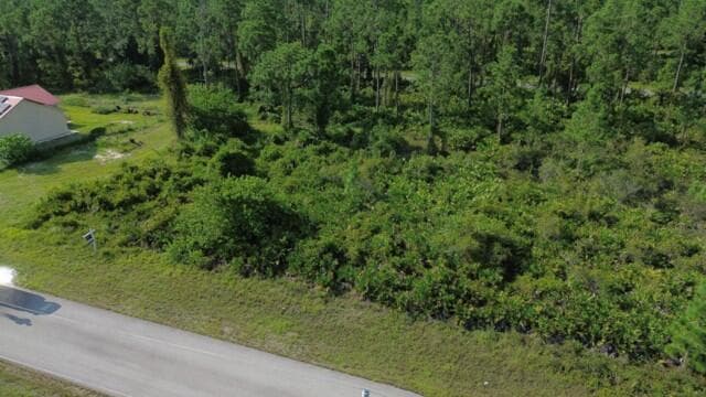 1115 Chiefland Street E, Lehigh Acres, FL 33974 — photo 2 of 4