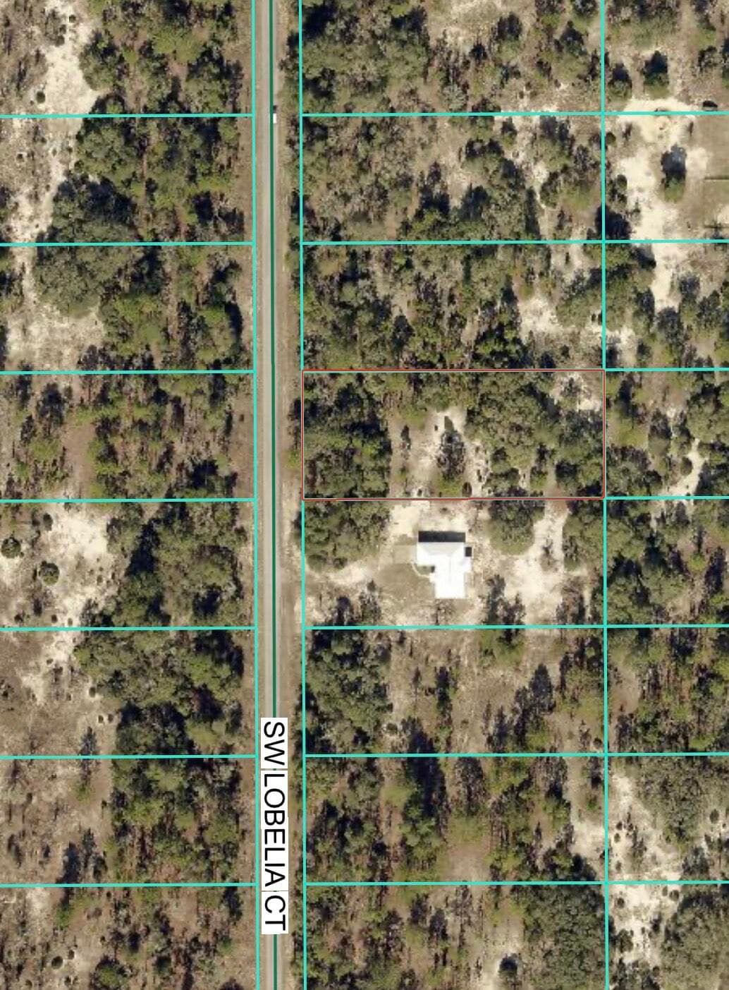 Tbd Lot 35 SW Lobelia Court, Dunnellon, FL 34431 — photo 2 of 10