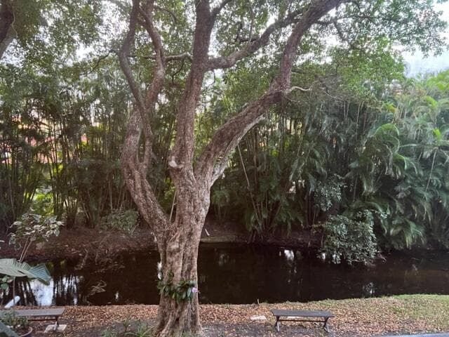 1605 S Us Highway 1 E203, Jupiter, FL 33477 — photo 24 of 28