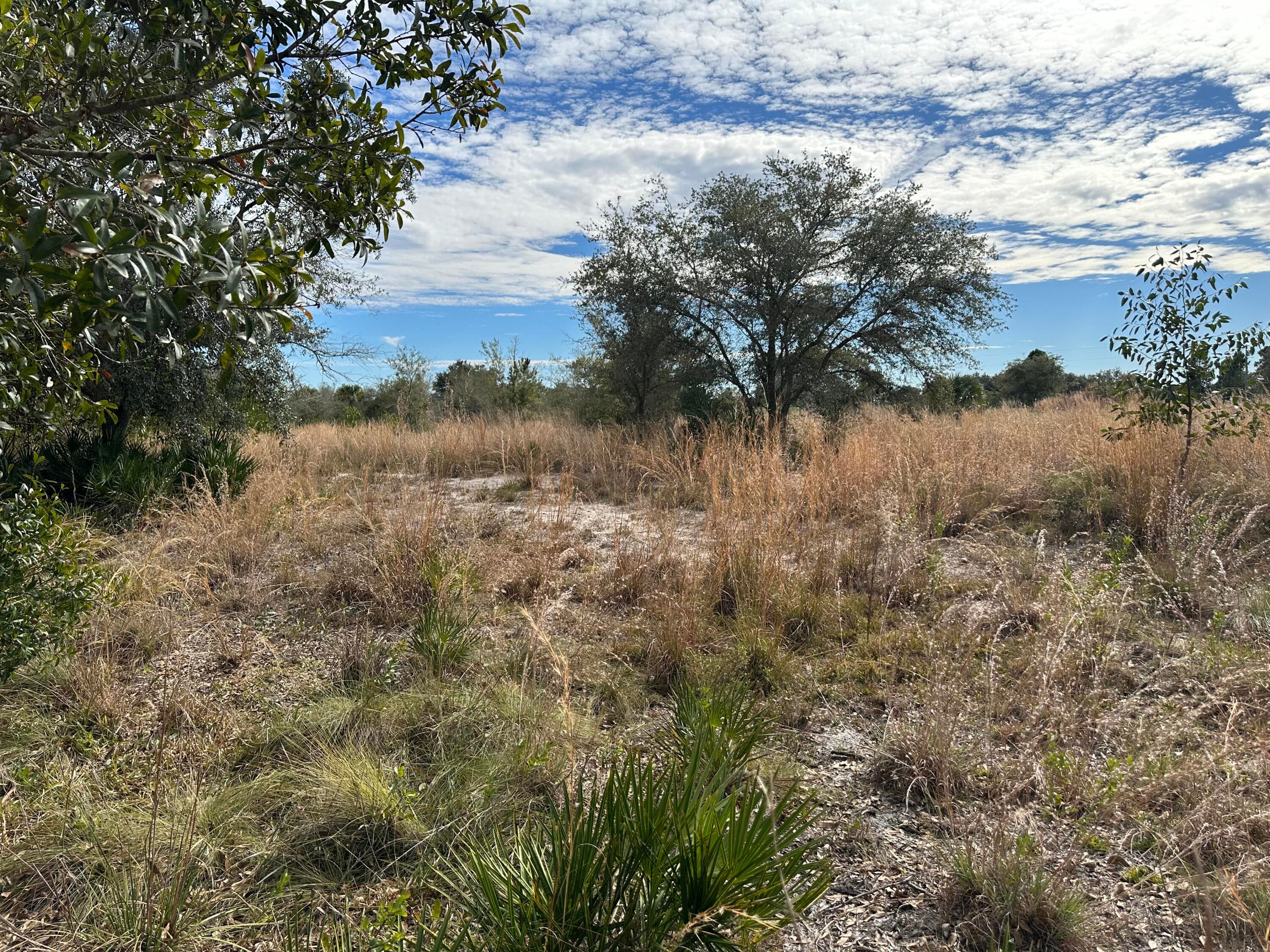 15322 NW 252nd Street, Okeechobee, FL 34972 — photo 2 of 5