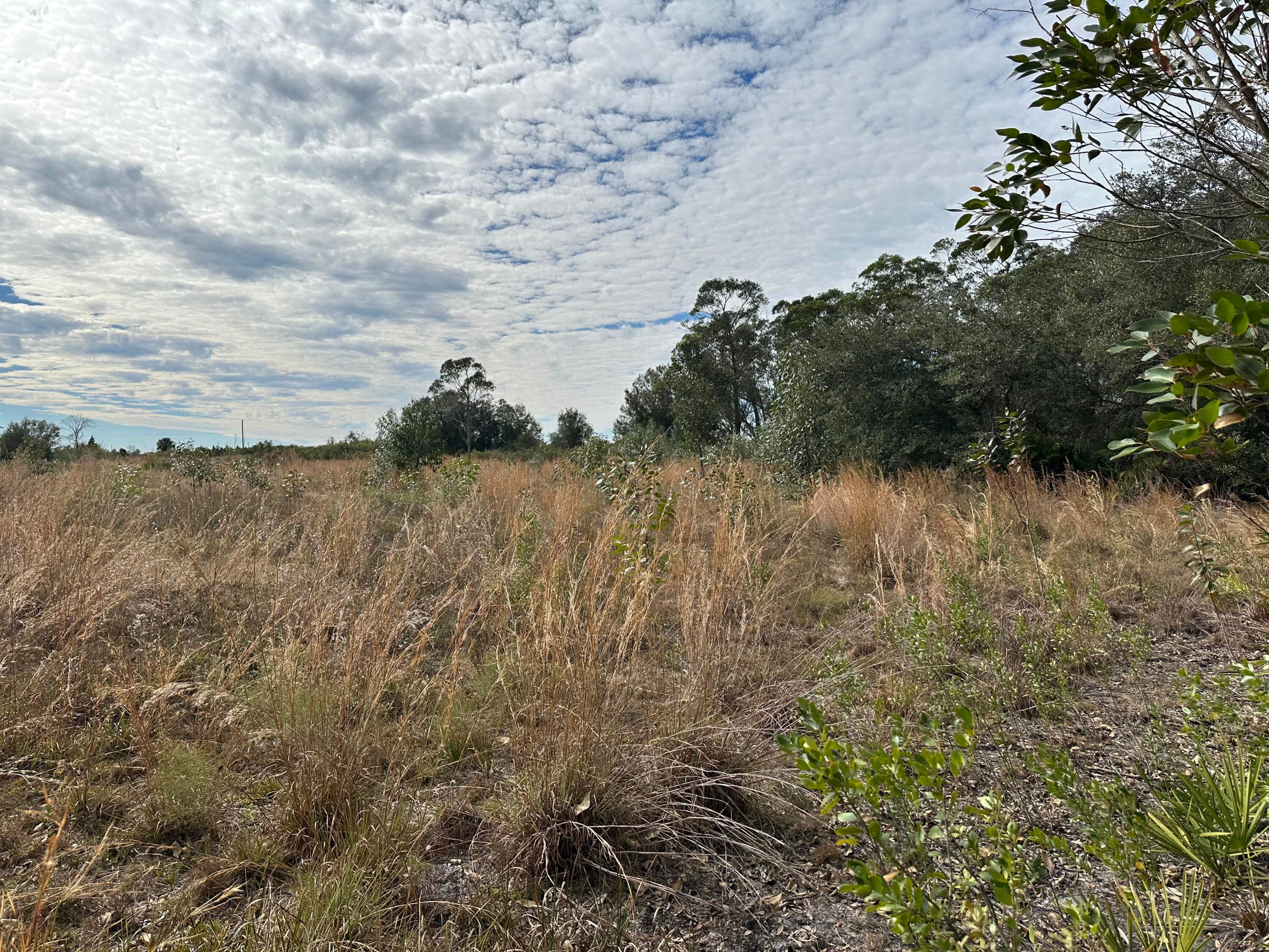 15322 NW 252nd Street, Okeechobee, FL 34972 — photo 4 of 5