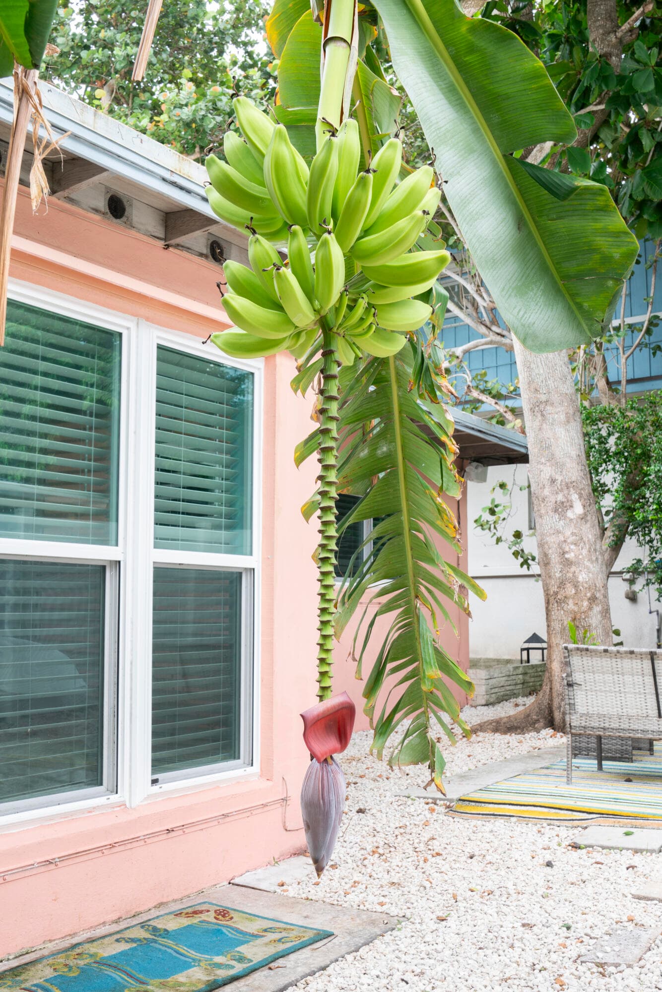 204 Coral Road, Boynton Beach, FL 33435 — photo 33 of 43