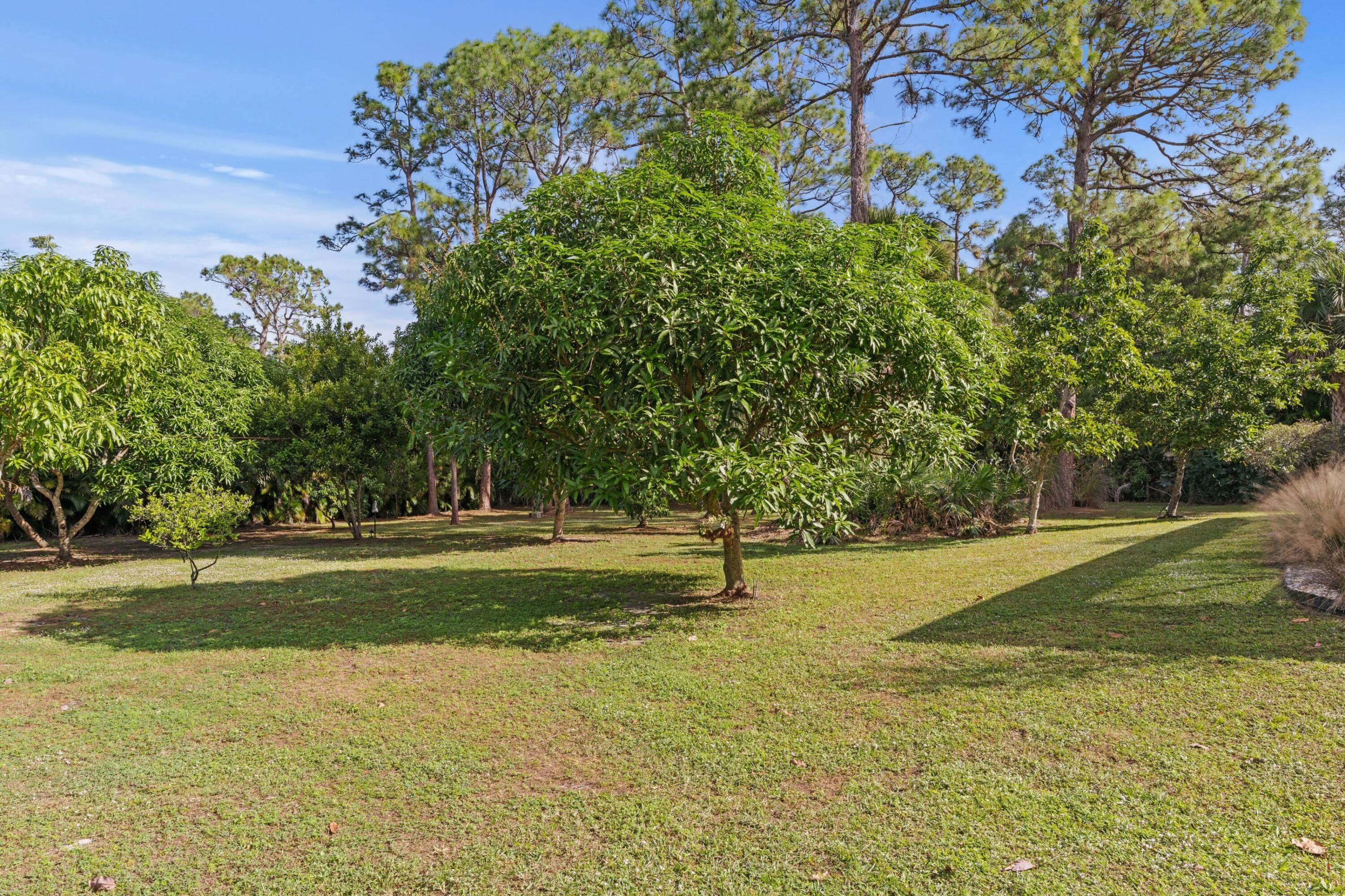 14817 Snail Trail, Loxahatchee Groves, FL 33470 — photo 52 of 71