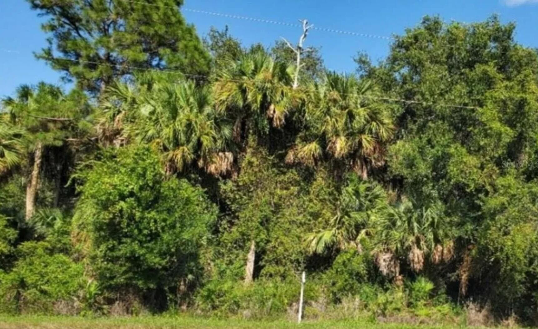 3822 Hwy 98 N, Okeechobee, FL 34972 — photo 2 of 7