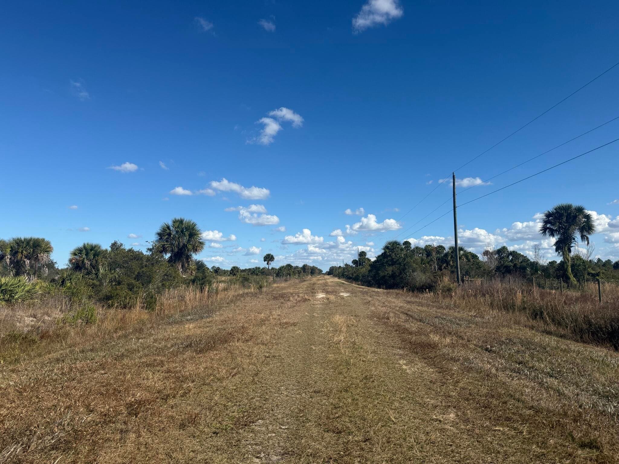 16382 NW 286th Street, Okeechobee, FL 34972 — photo 5 of 12