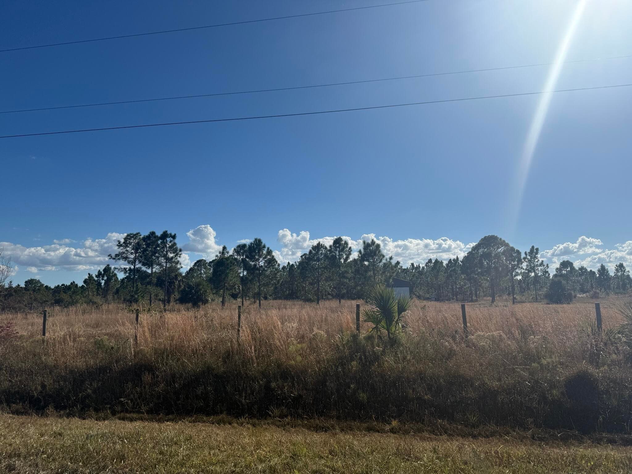 16382 NW 286th Street, Okeechobee, FL 34972 — photo 4 of 12